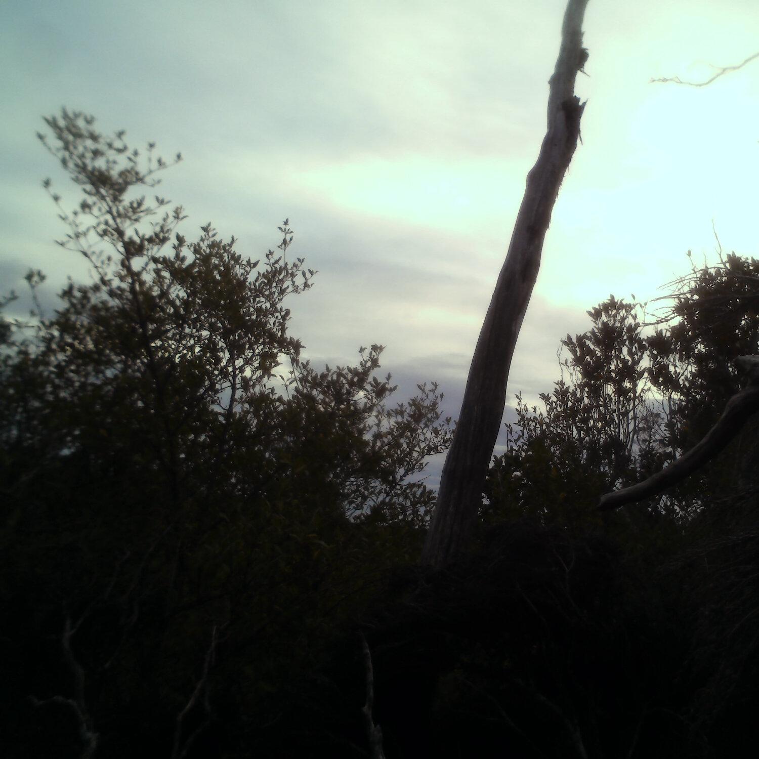 A photo captured from the webcam at the time the audio was recorded
