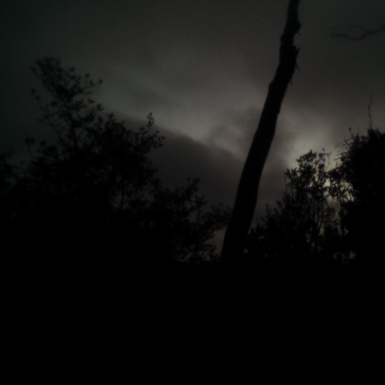 A photo captured from the webcam at the time the audio was recorded