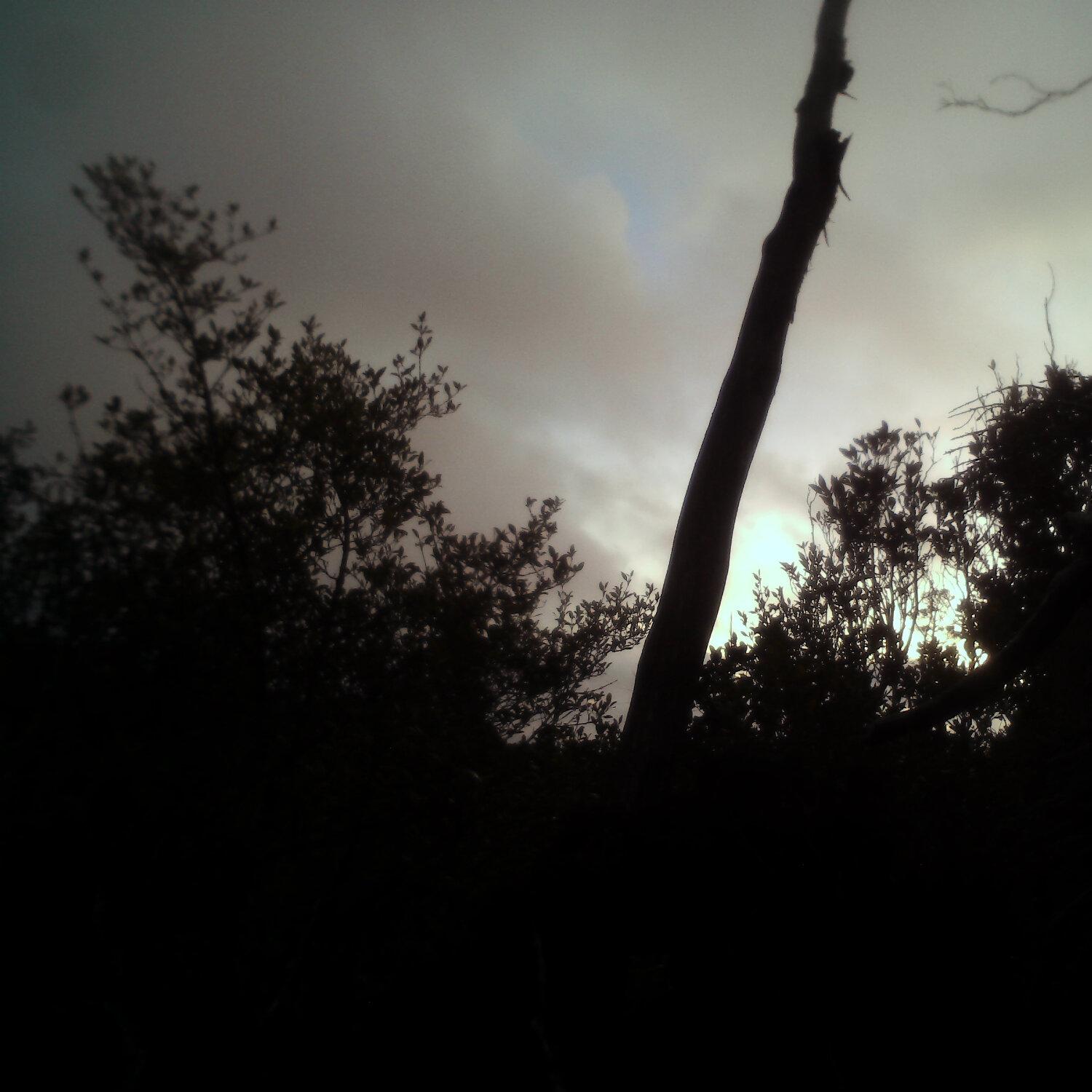 A photo captured from the webcam at the time the audio was recorded