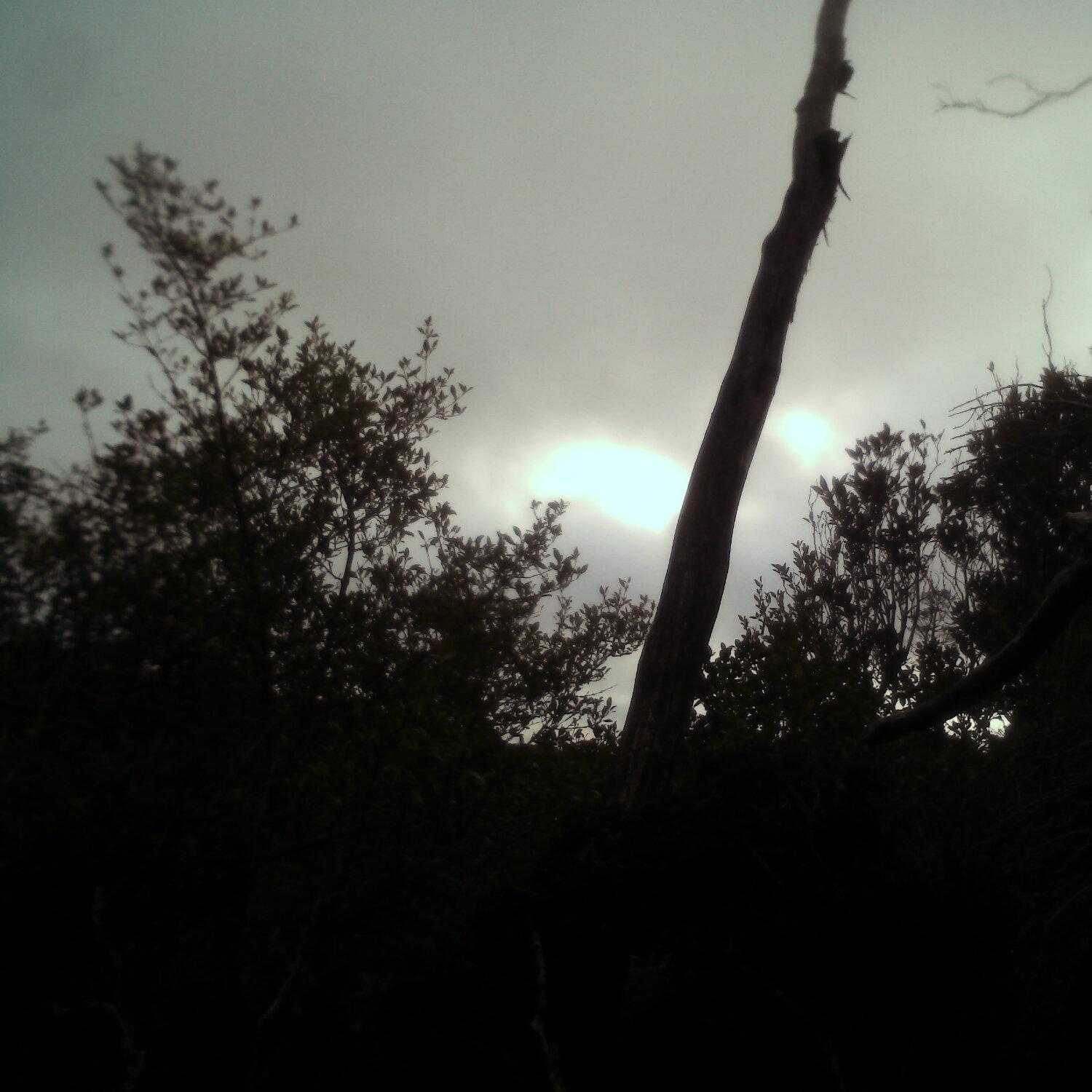 A photo captured from the webcam at the time the audio was recorded