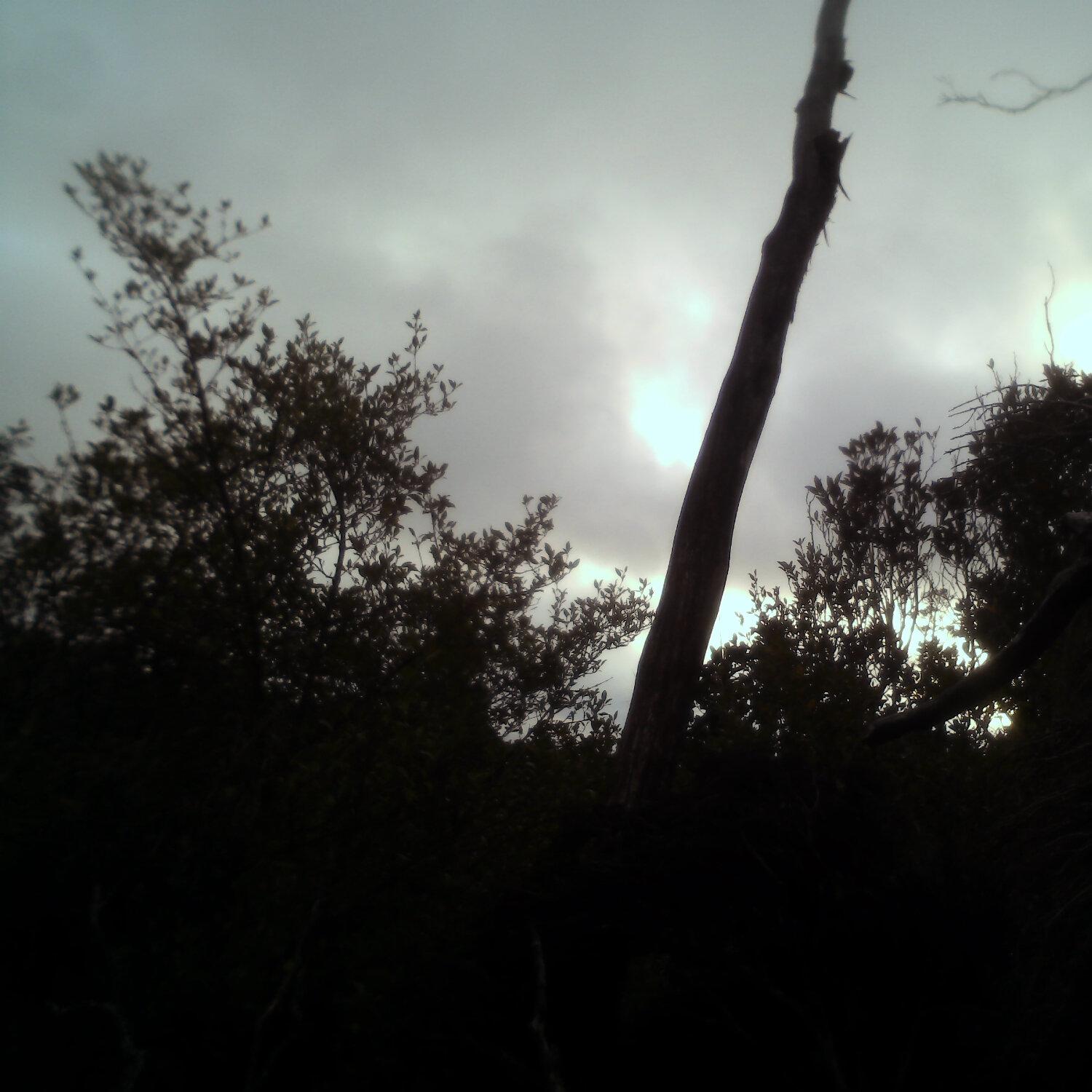 A photo captured from the webcam at the time the audio was recorded