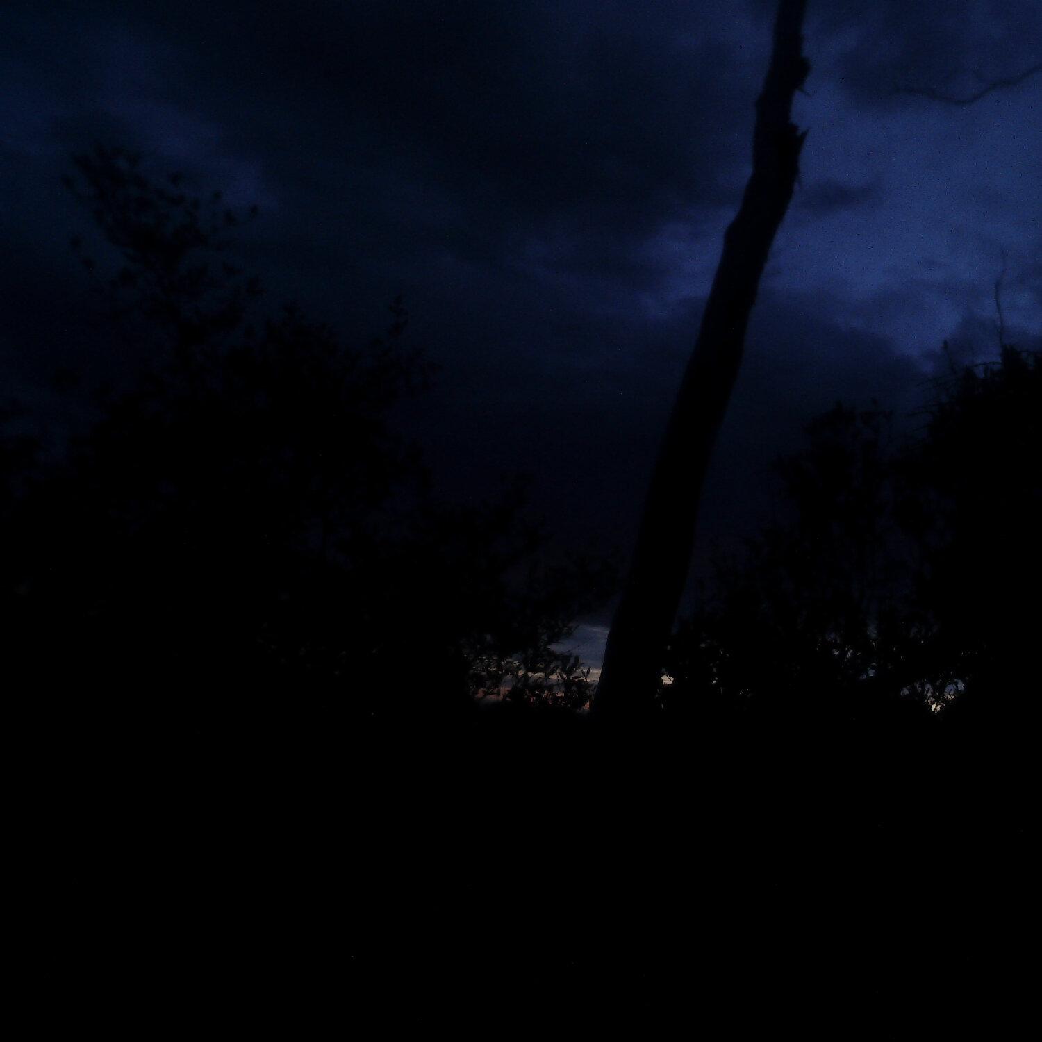 A photo captured from the webcam at the time the audio was recorded