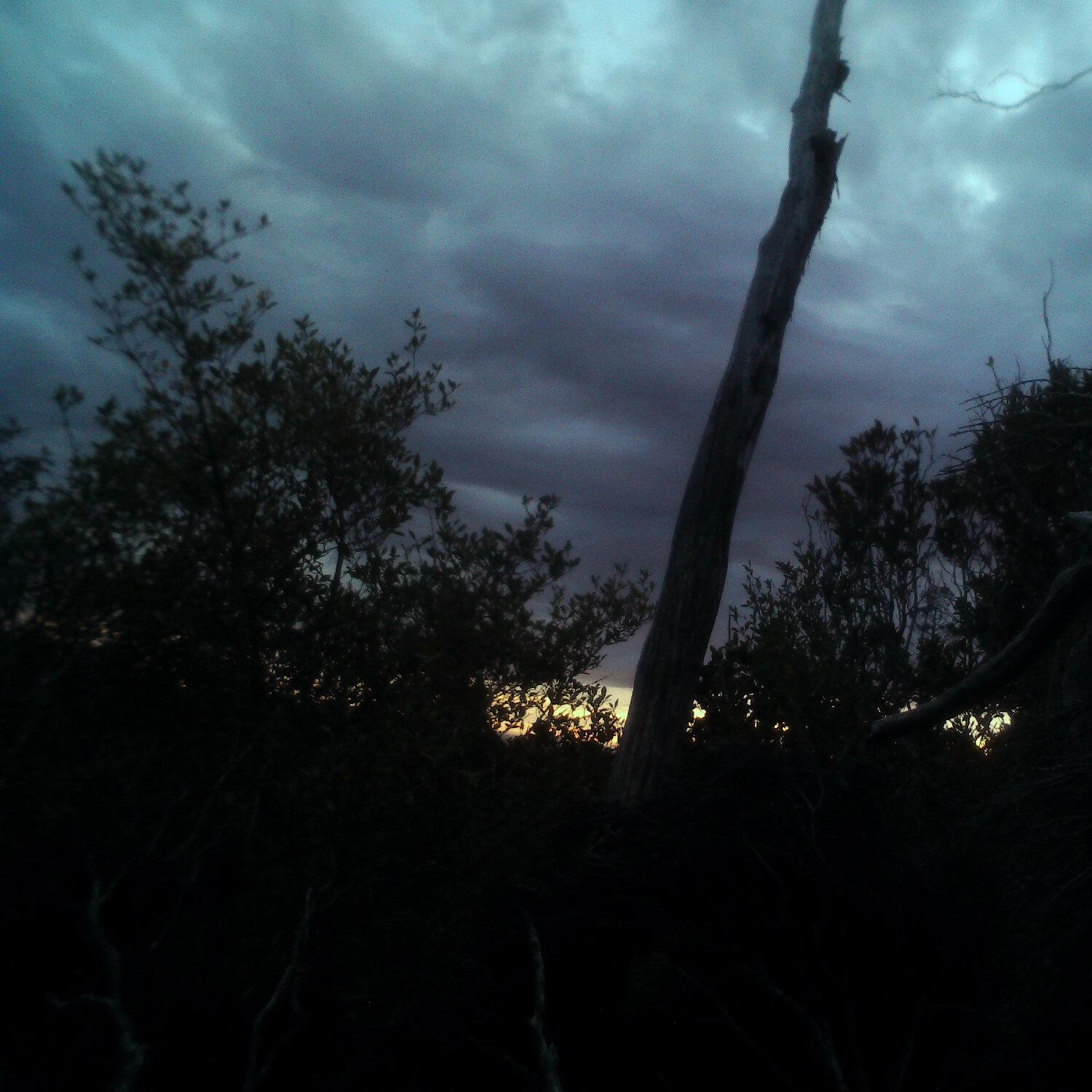 A photo captured from the webcam at the time the audio was recorded