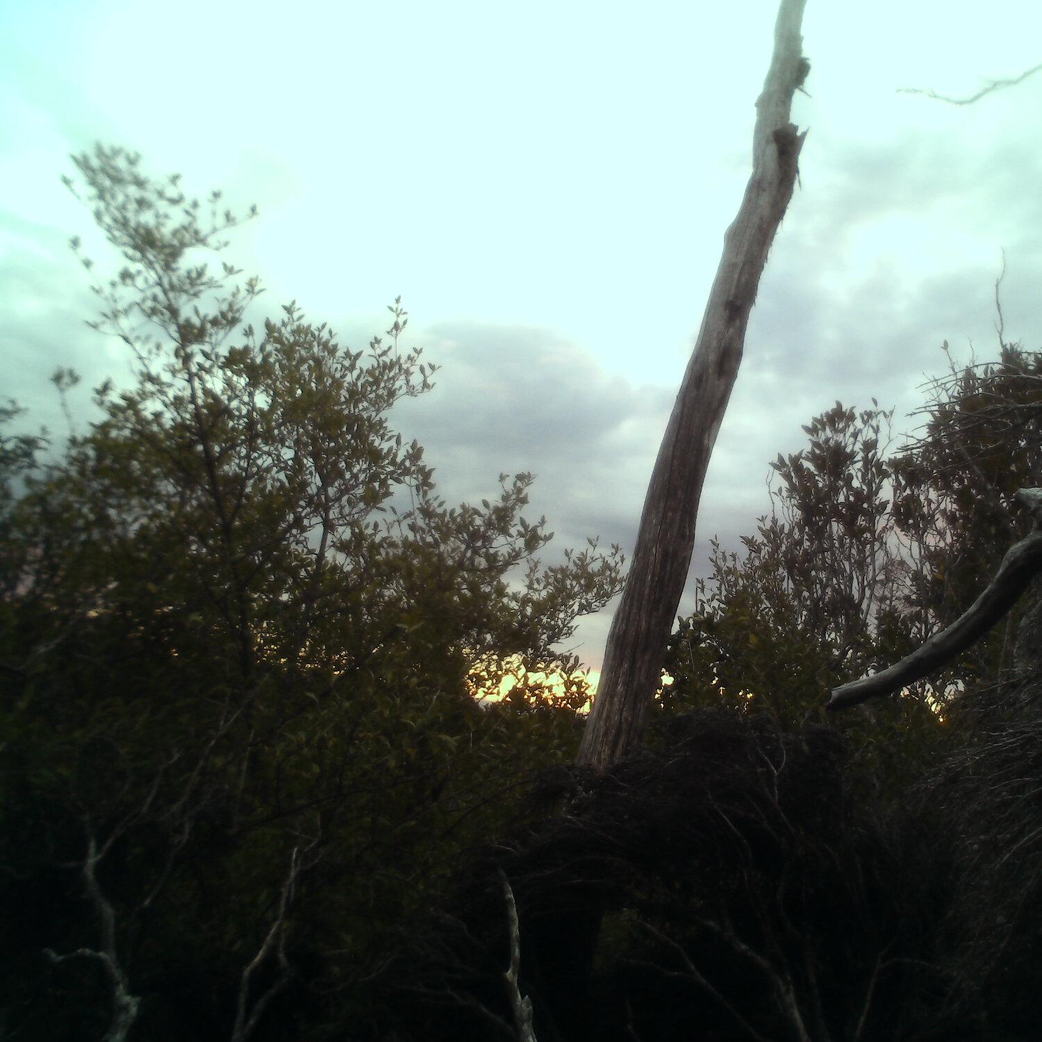 A photo captured from the webcam at the time the audio was recorded