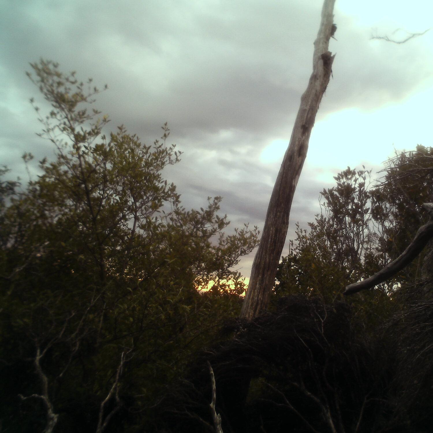 A photo captured from the webcam at the time the audio was recorded