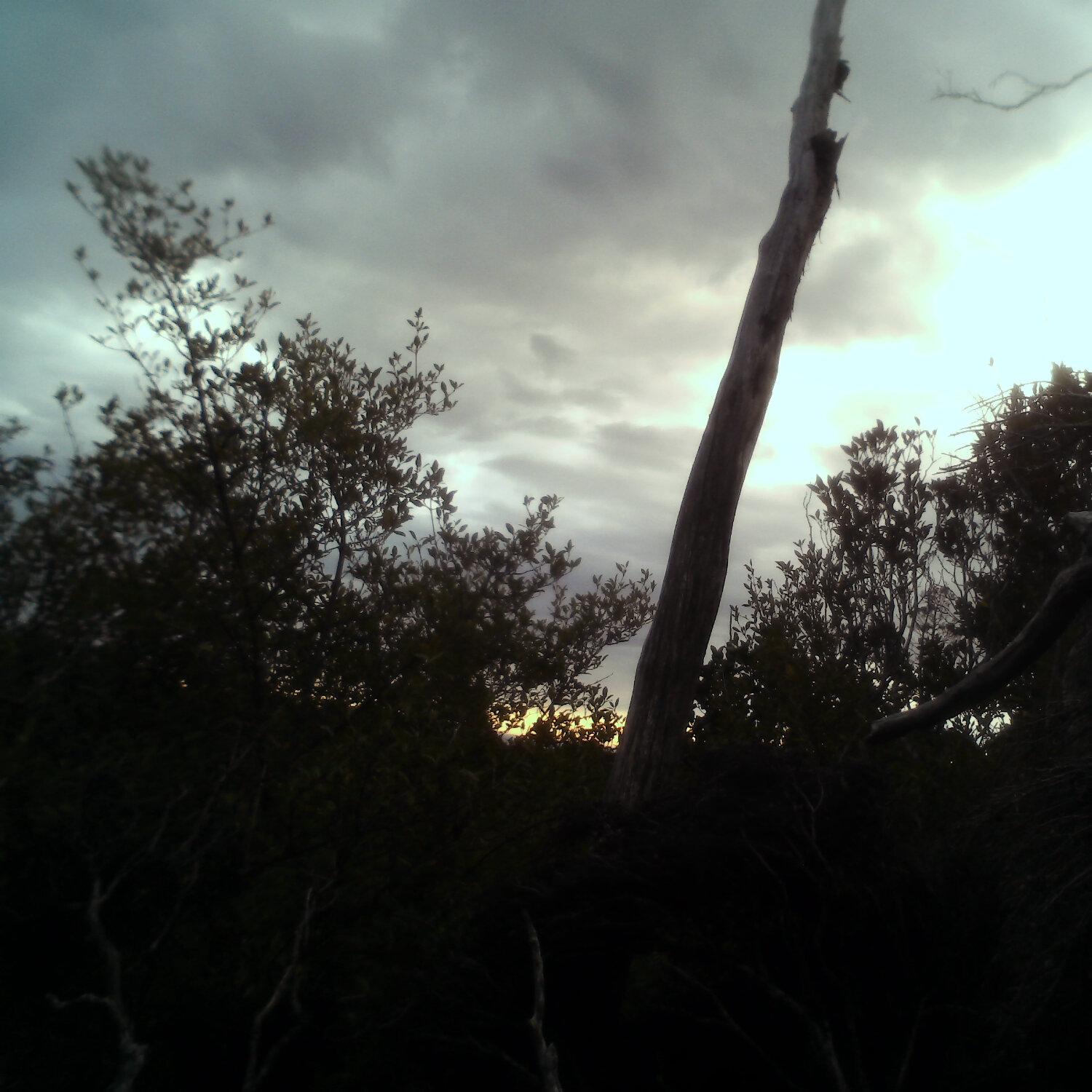 A photo captured from the webcam at the time the audio was recorded