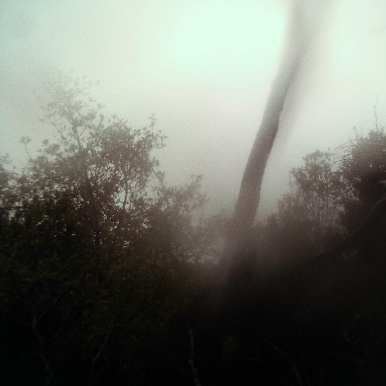 A photo captured from the webcam at the time the audio was recorded
