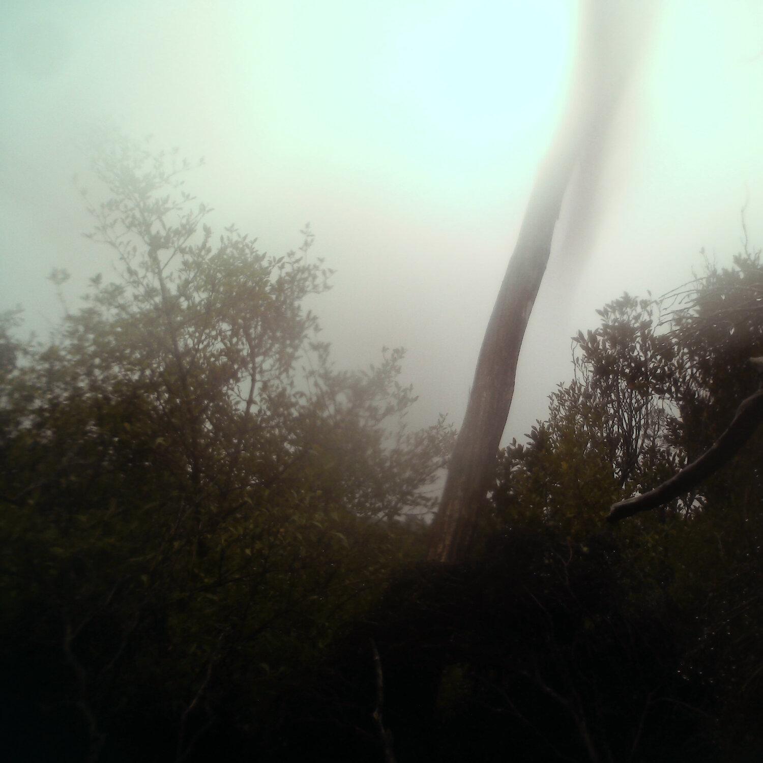 A photo captured from the webcam at the time the audio was recorded