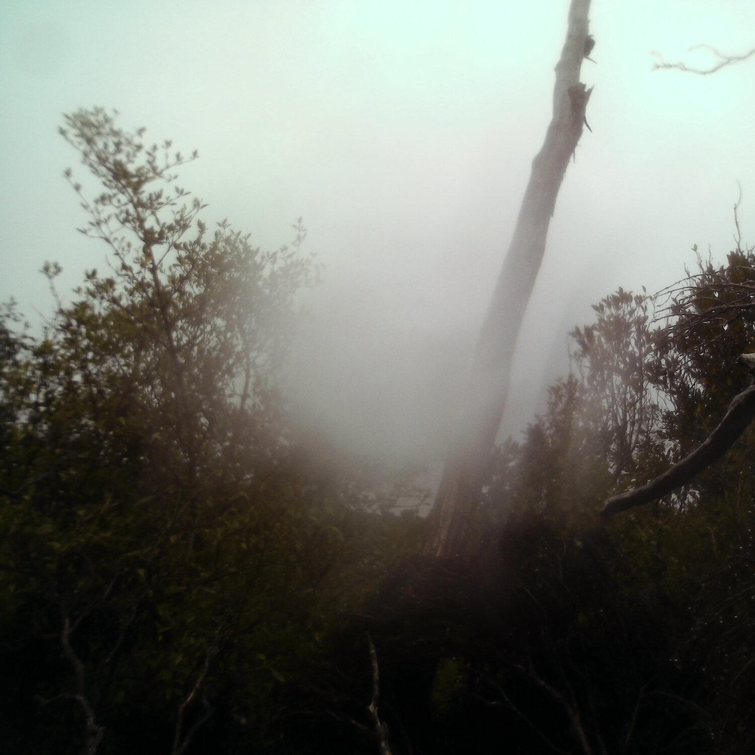 A photo captured from the webcam at the time the audio was recorded