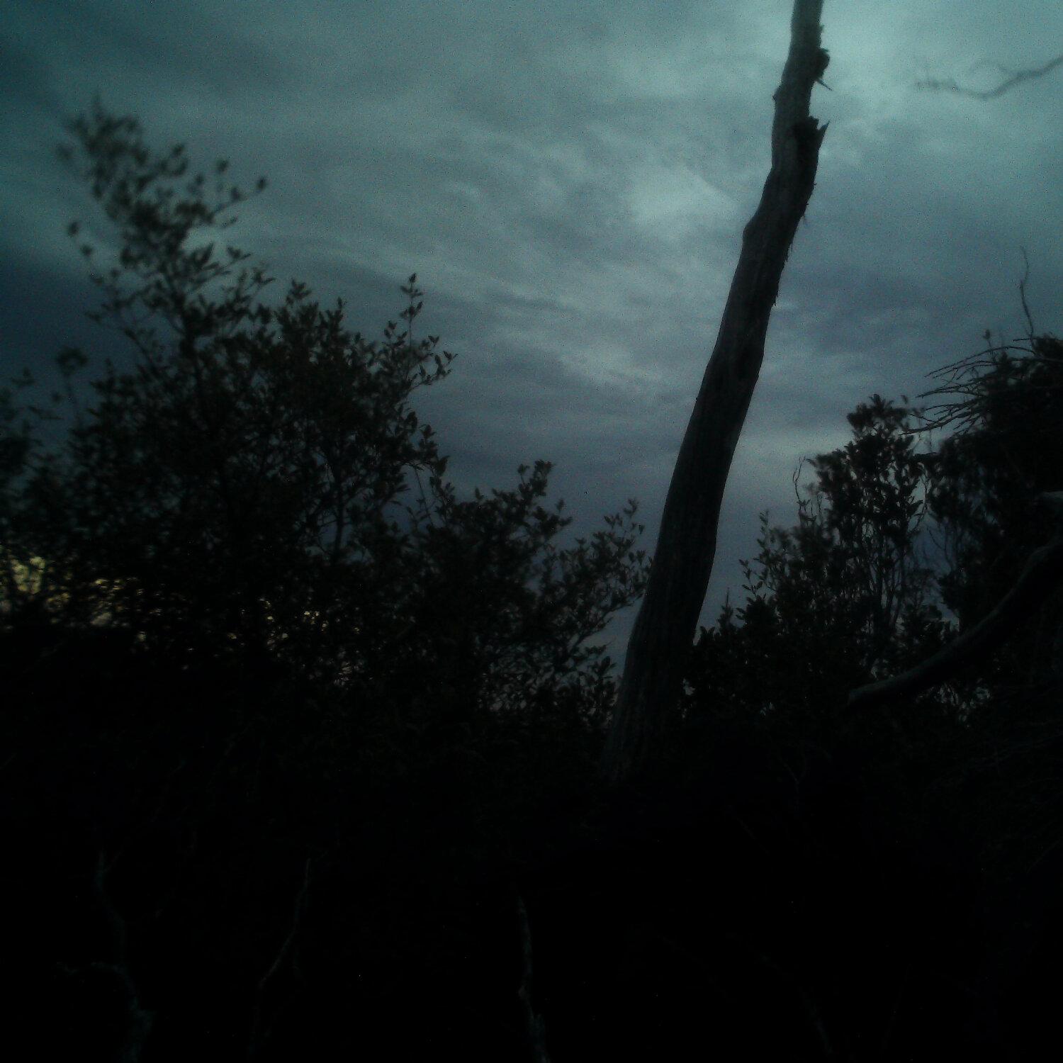 A photo captured from the webcam at the time the audio was recorded