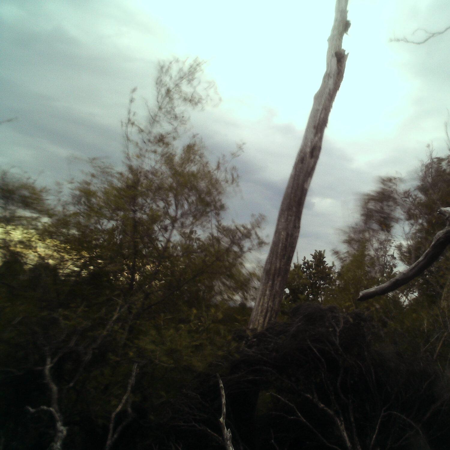 A photo captured from the webcam at the time the audio was recorded