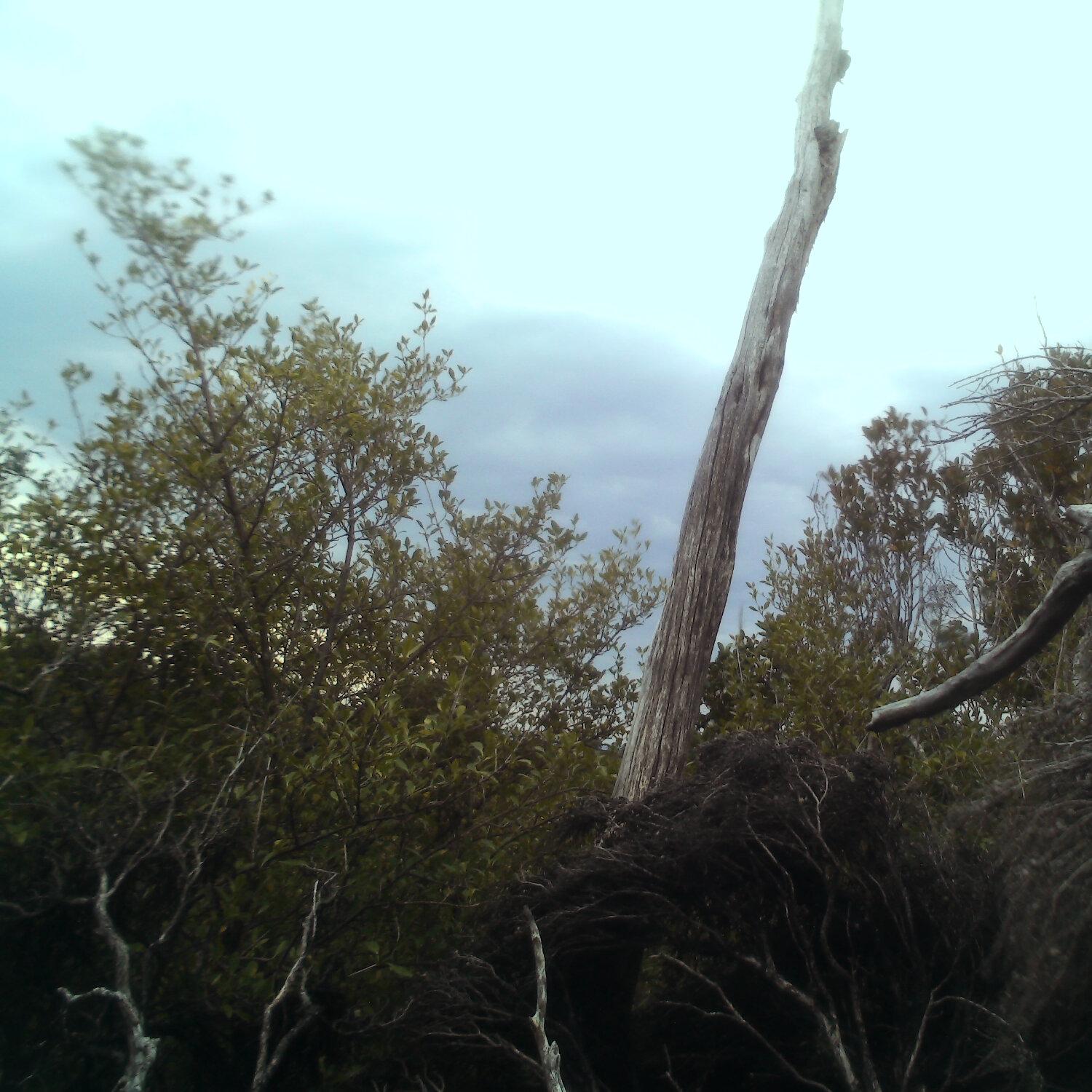 A photo captured from the webcam at the time the audio was recorded