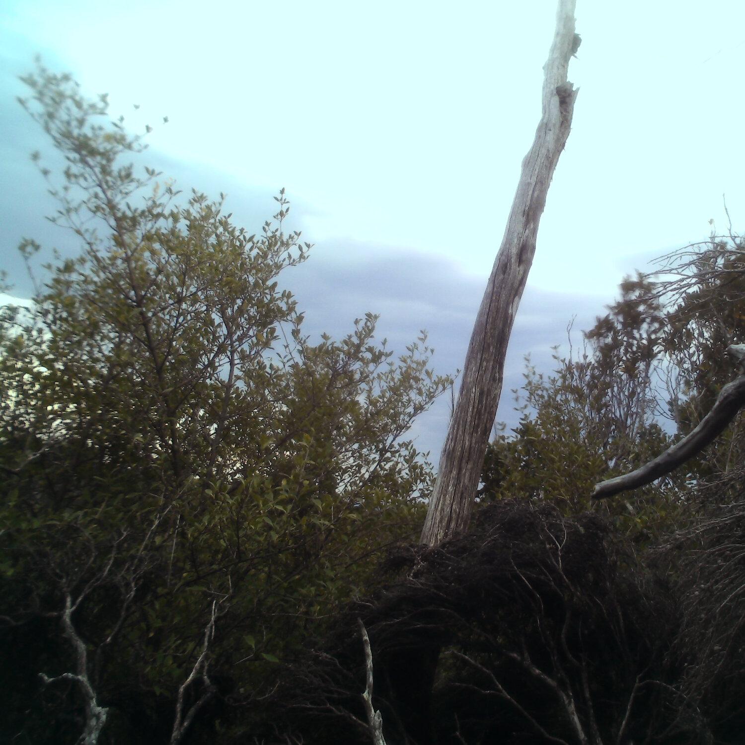 A photo captured from the webcam at the time the audio was recorded