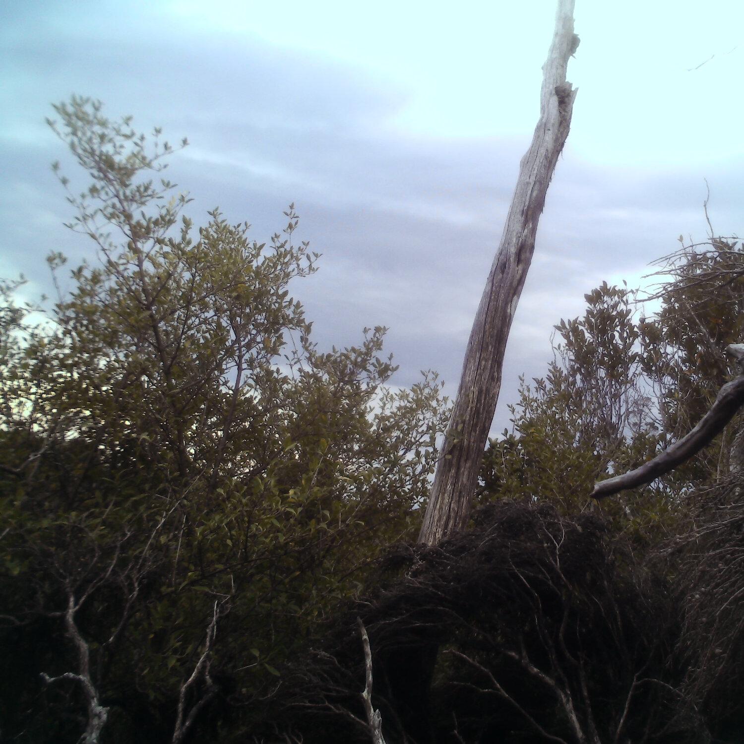 A photo captured from the webcam at the time the audio was recorded