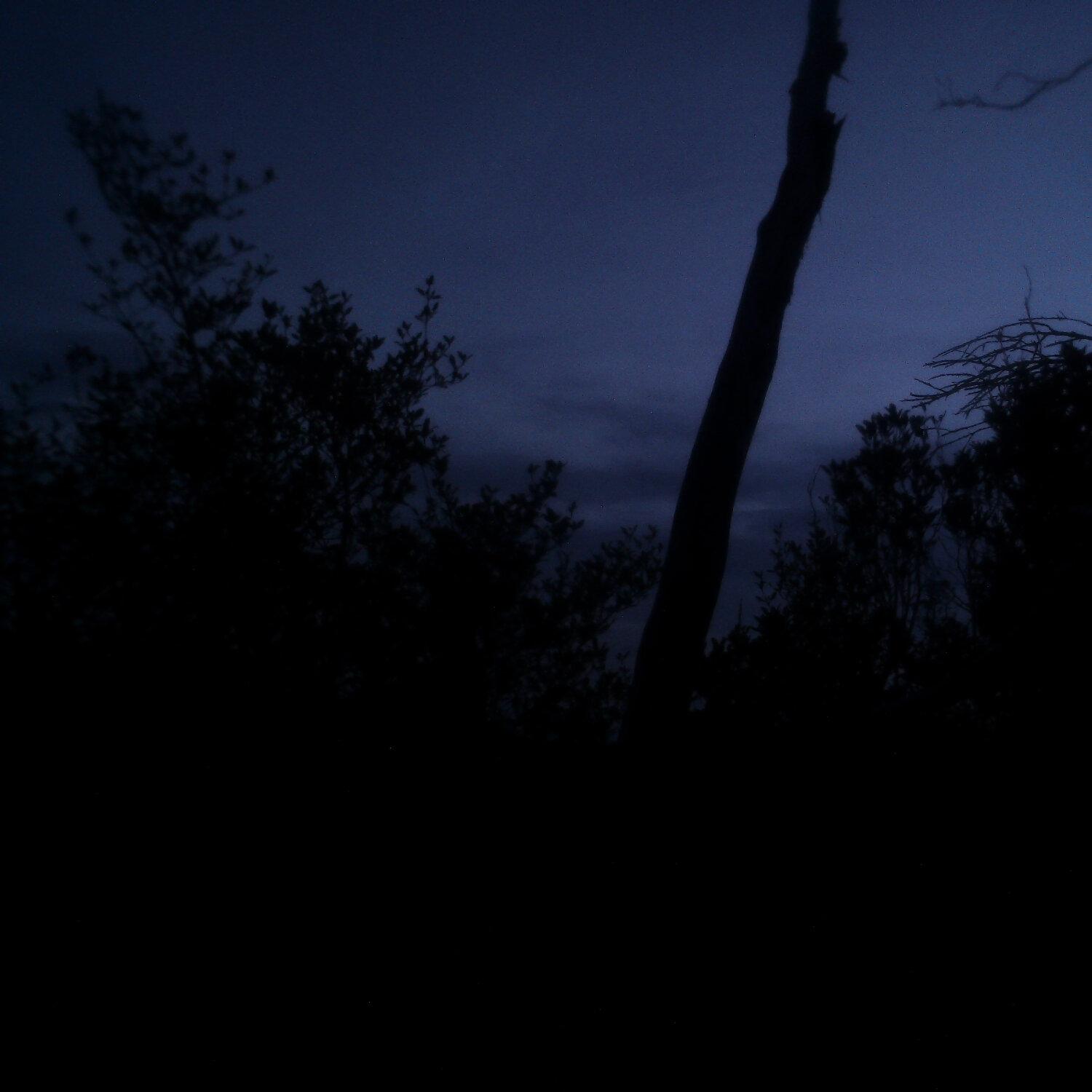 A photo captured from the webcam at the time the audio was recorded