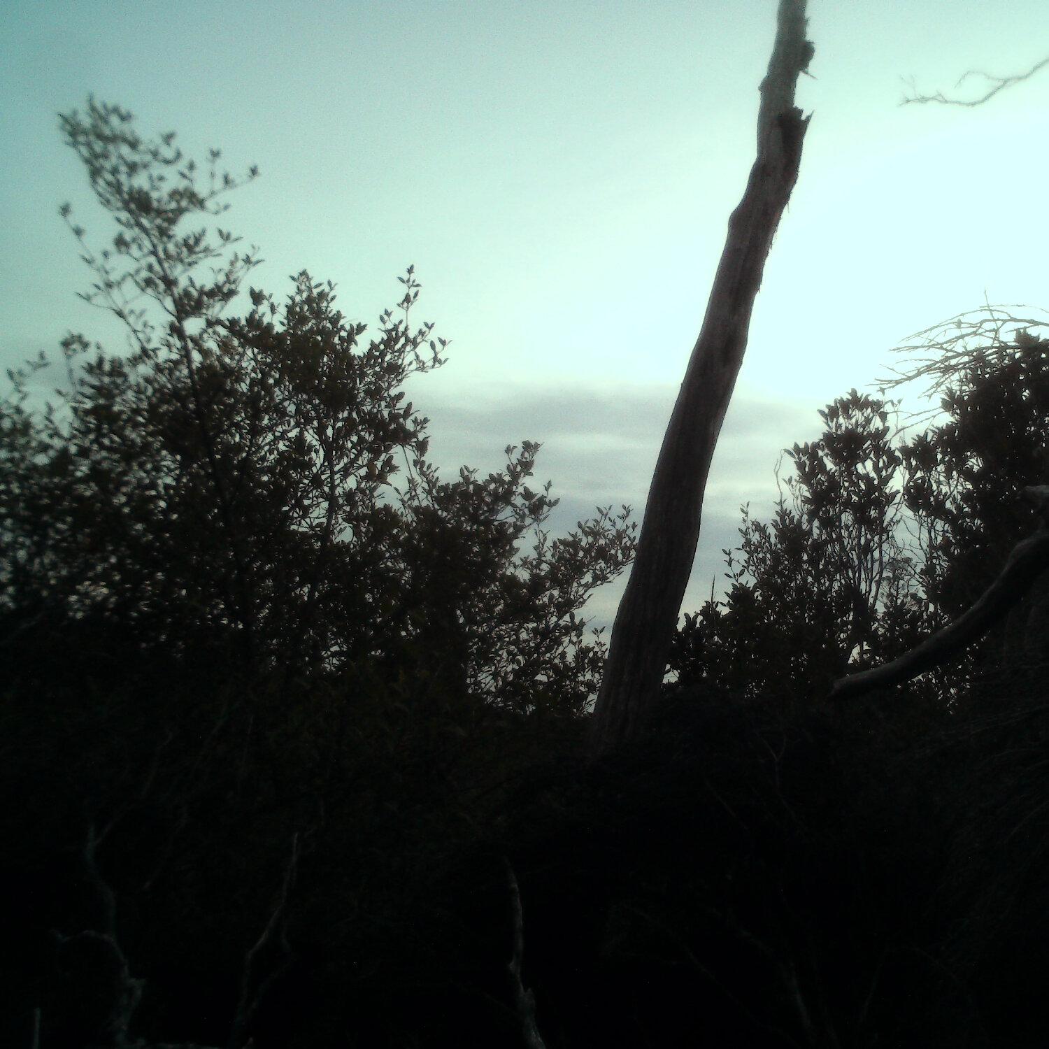 A photo captured from the webcam at the time the audio was recorded
