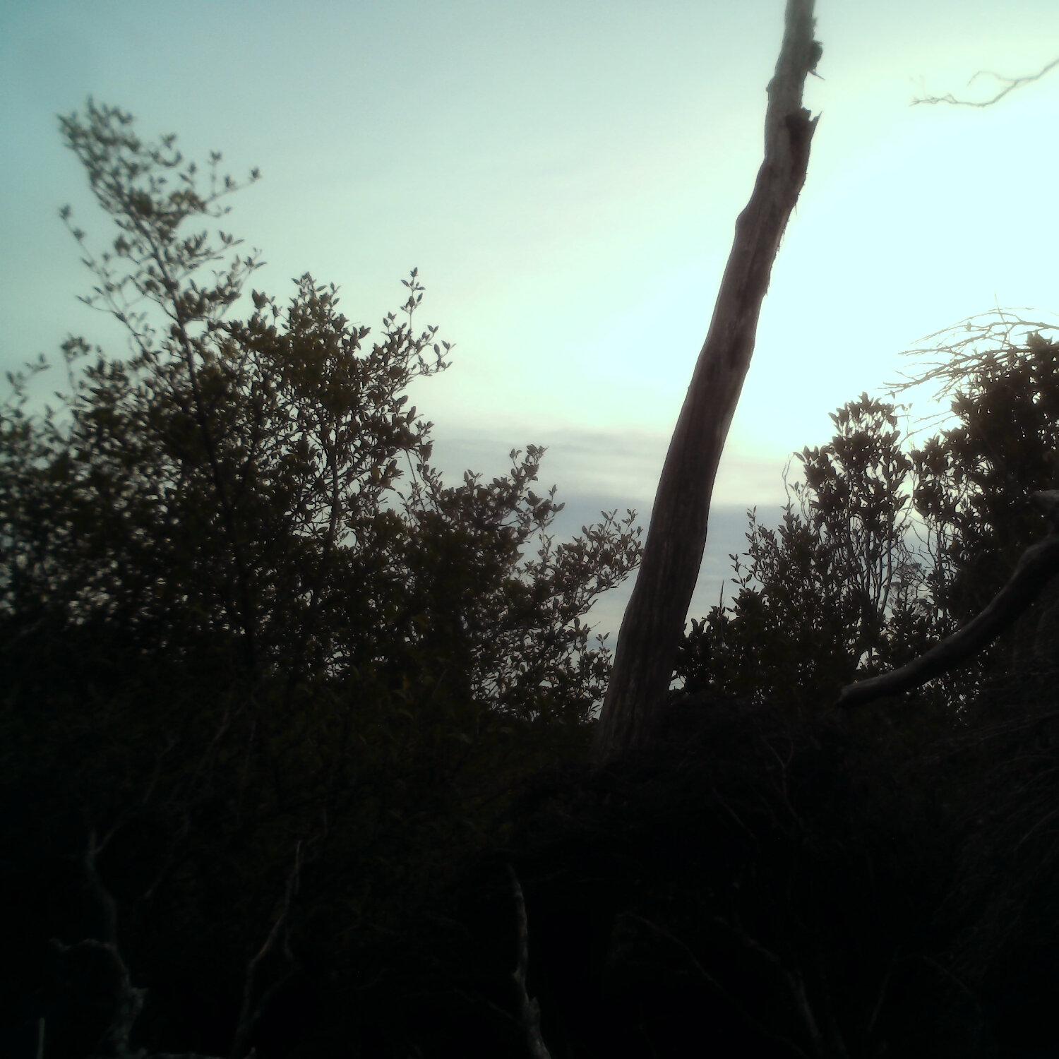 A photo captured from the webcam at the time the audio was recorded