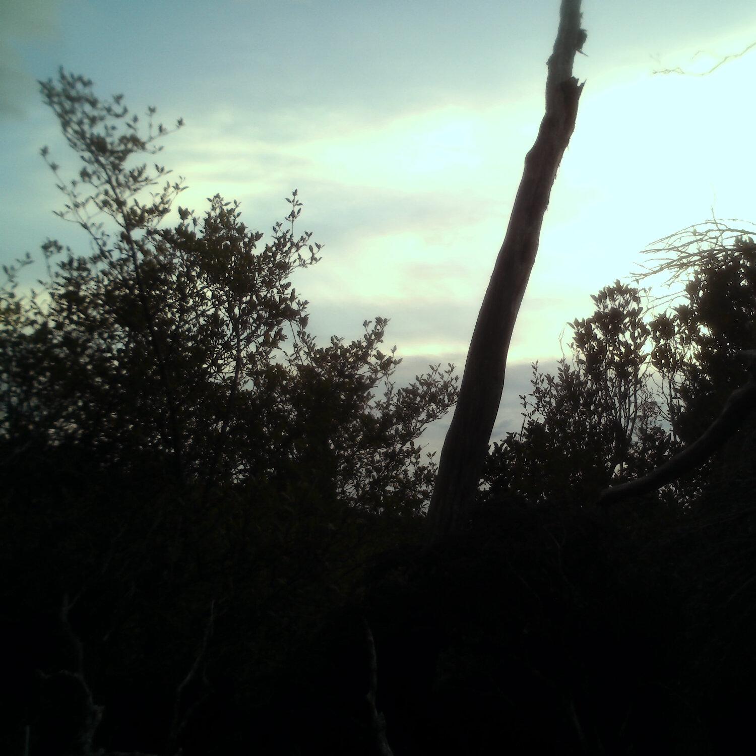A photo captured from the webcam at the time the audio was recorded
