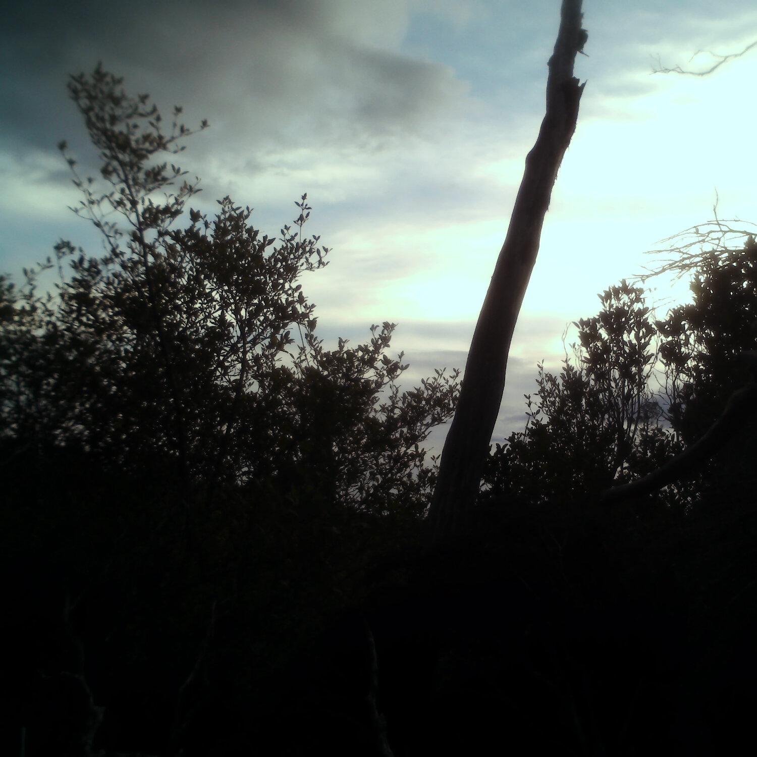 A photo captured from the webcam at the time the audio was recorded