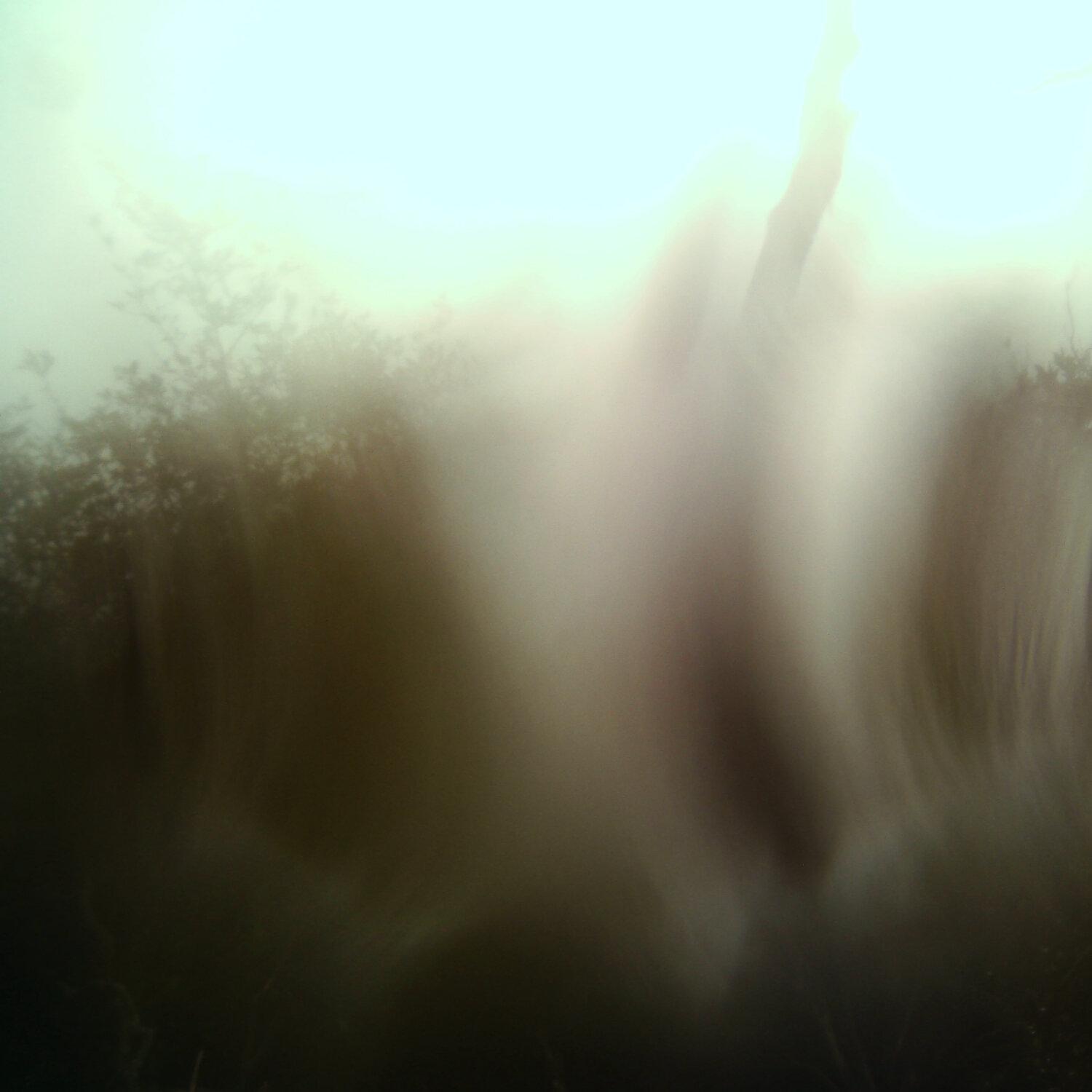 A photo captured from the webcam at the time the audio was recorded