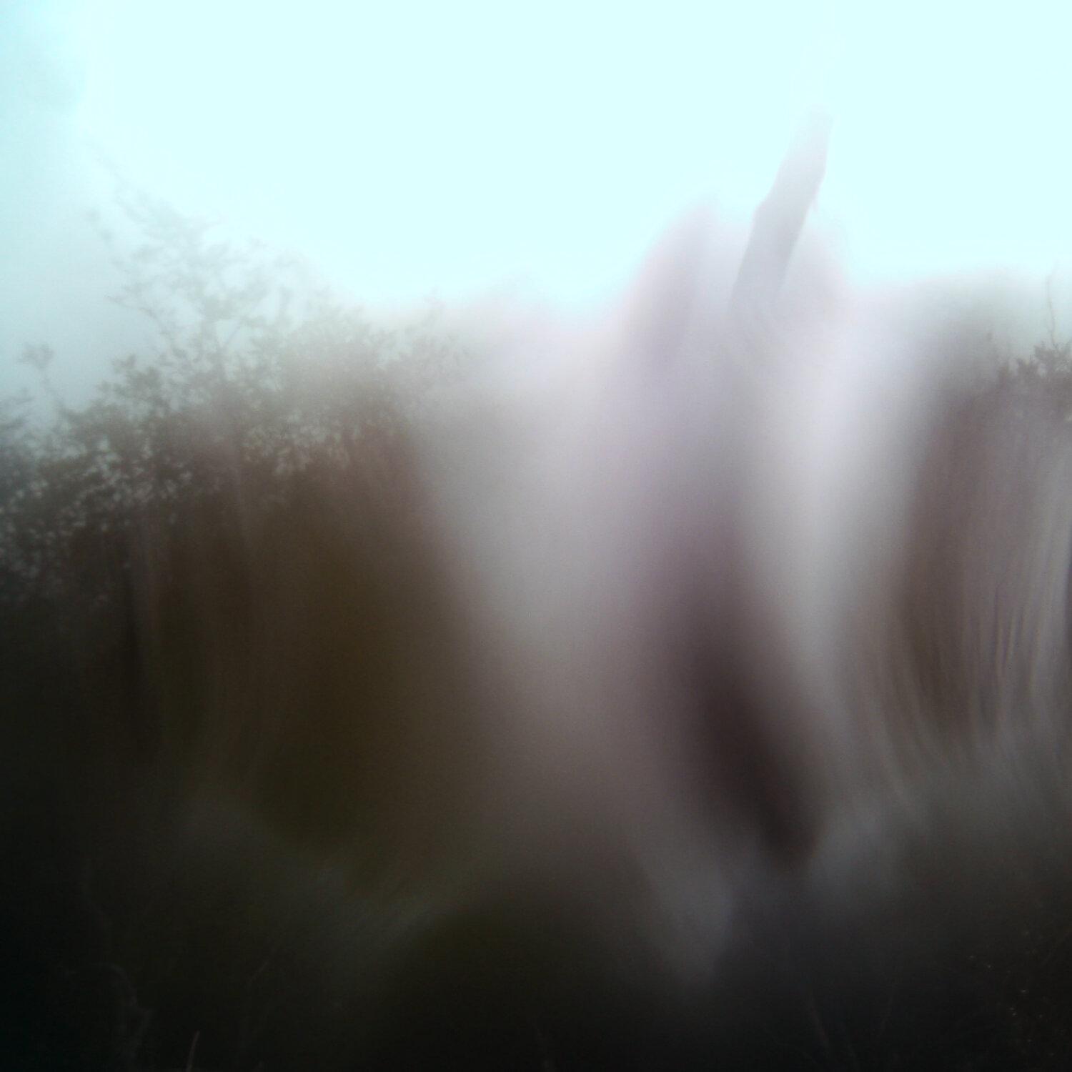 A photo captured from the webcam at the time the audio was recorded