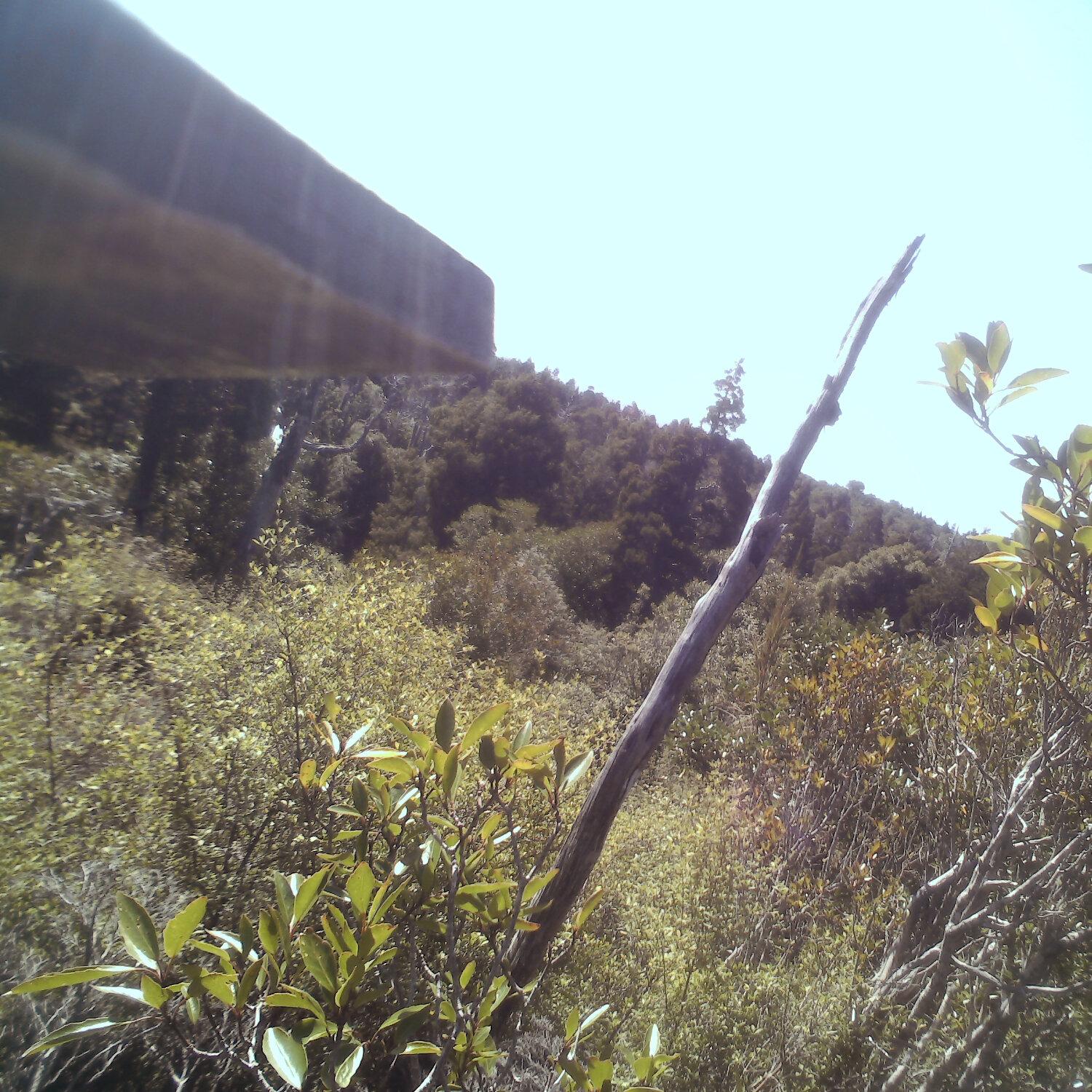 A photo captured from the webcam at the time the audio was recorded