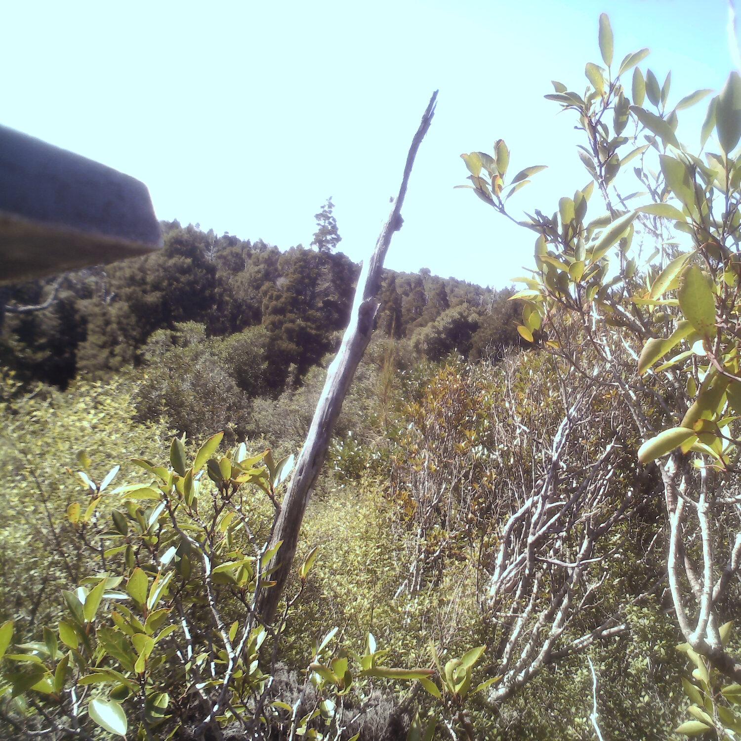 A photo captured from the webcam at the time the audio was recorded