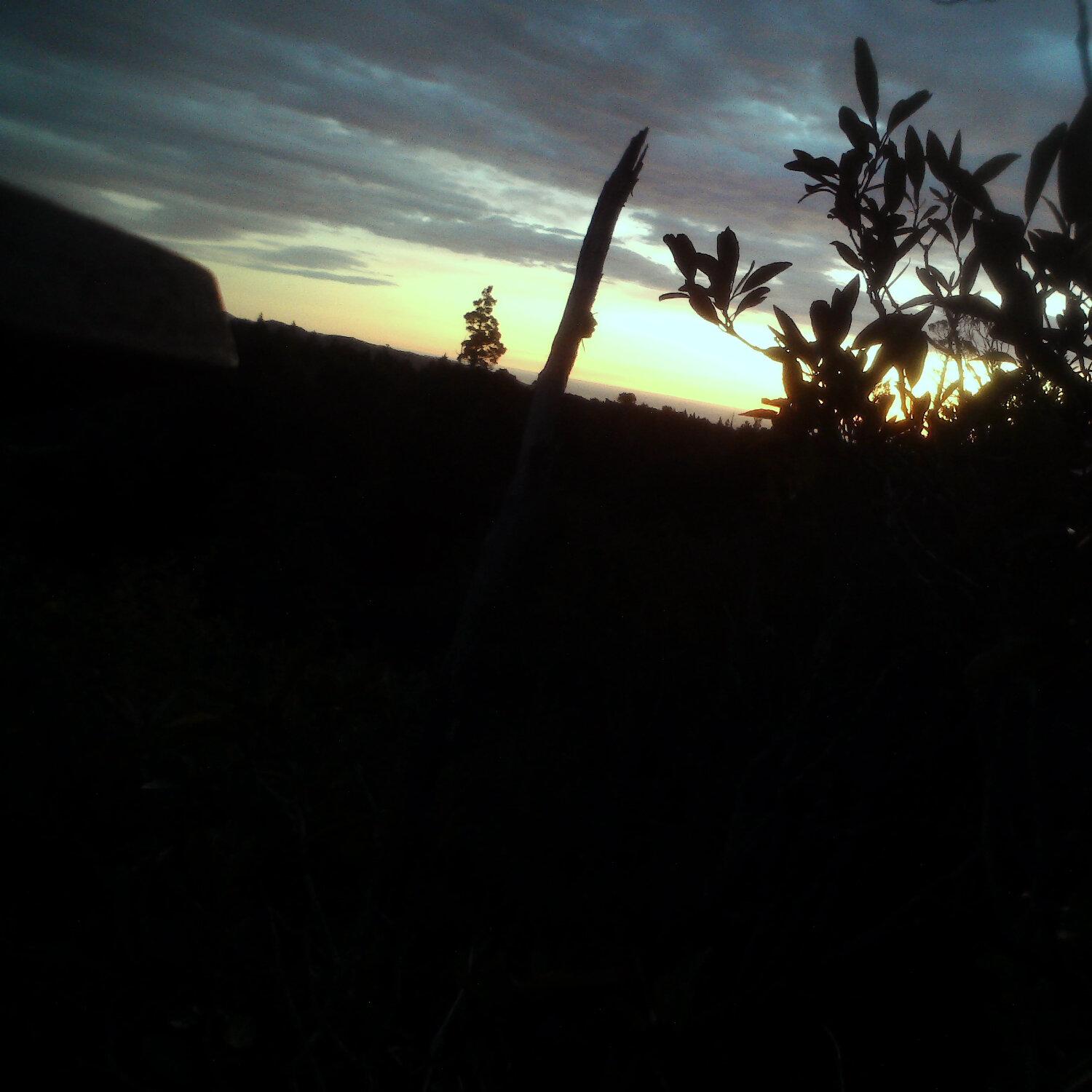 A photo captured from the webcam at the time the audio was recorded