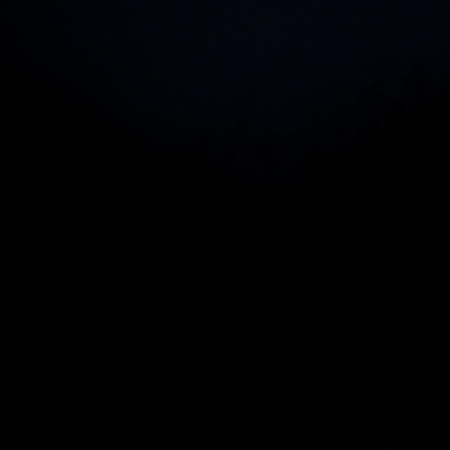 A photo captured from the webcam at the time the audio was recorded