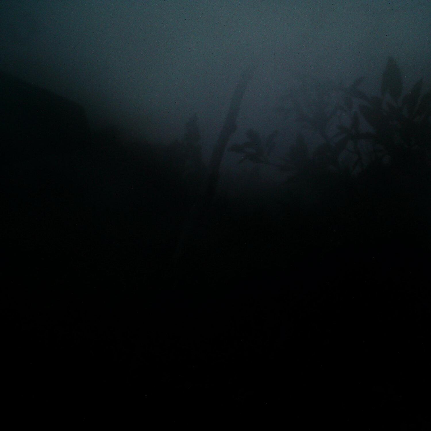 A photo captured from the webcam at the time the audio was recorded