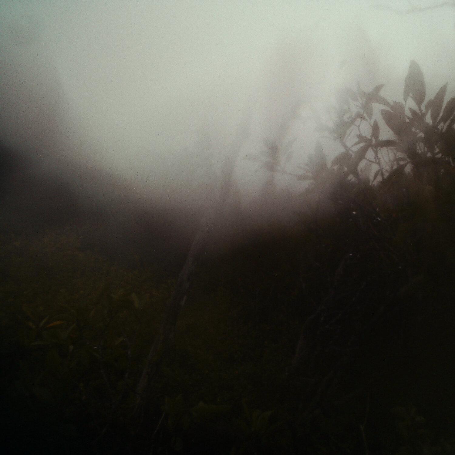 A photo captured from the webcam at the time the audio was recorded