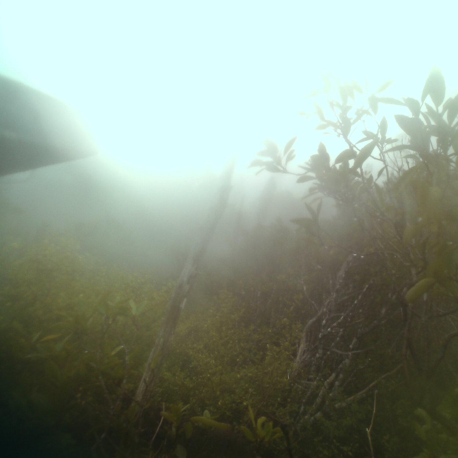 A photo captured from the webcam at the time the audio was recorded