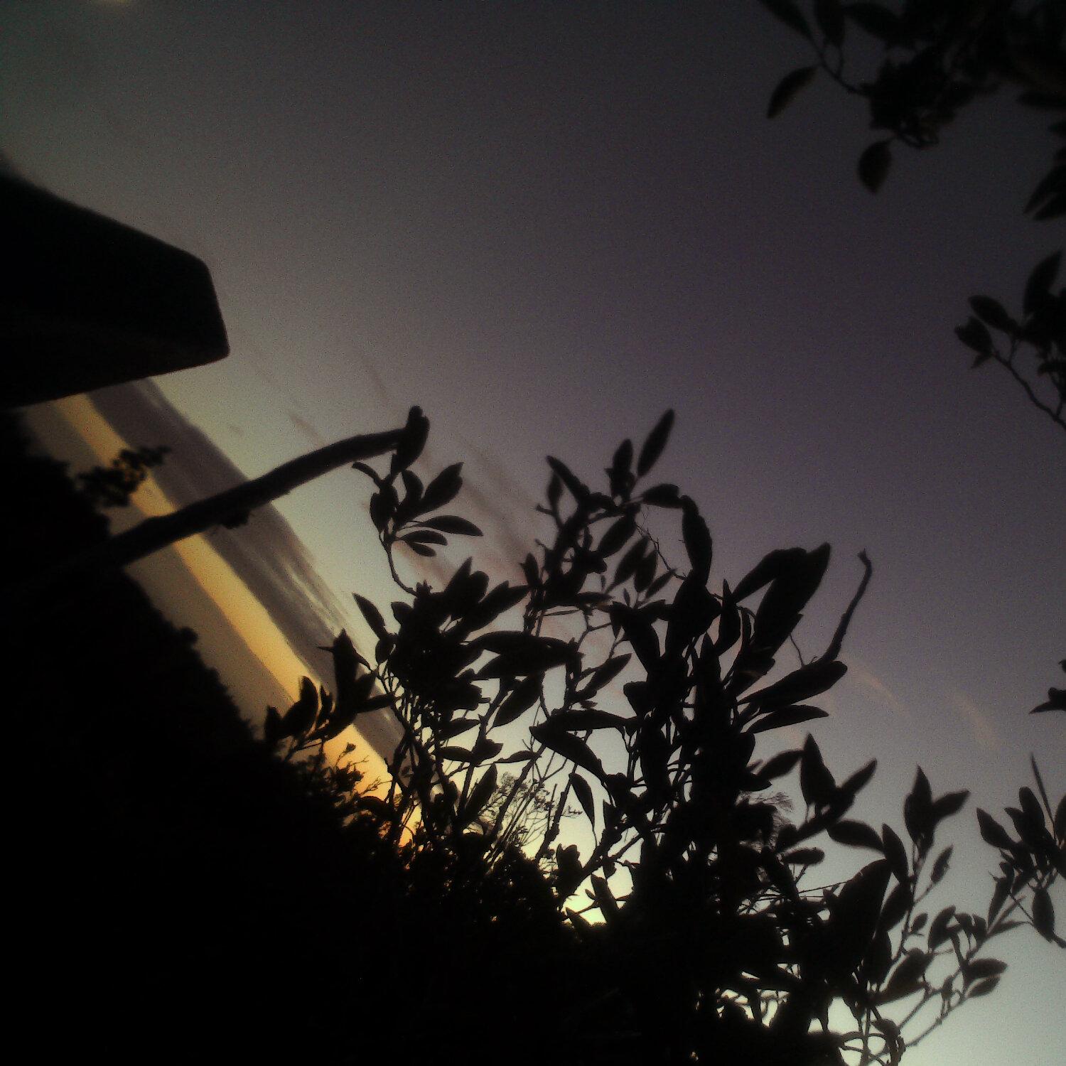 A photo captured from the webcam at the time the audio was recorded