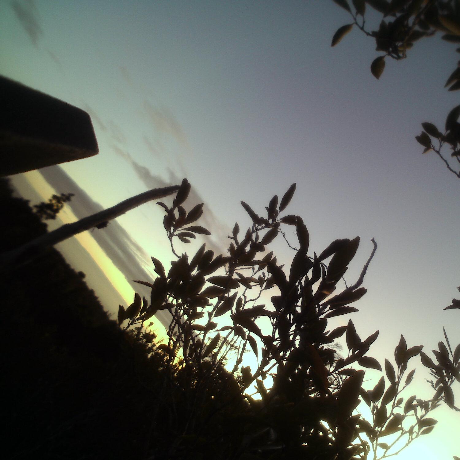 A photo captured from the webcam at the time the audio was recorded