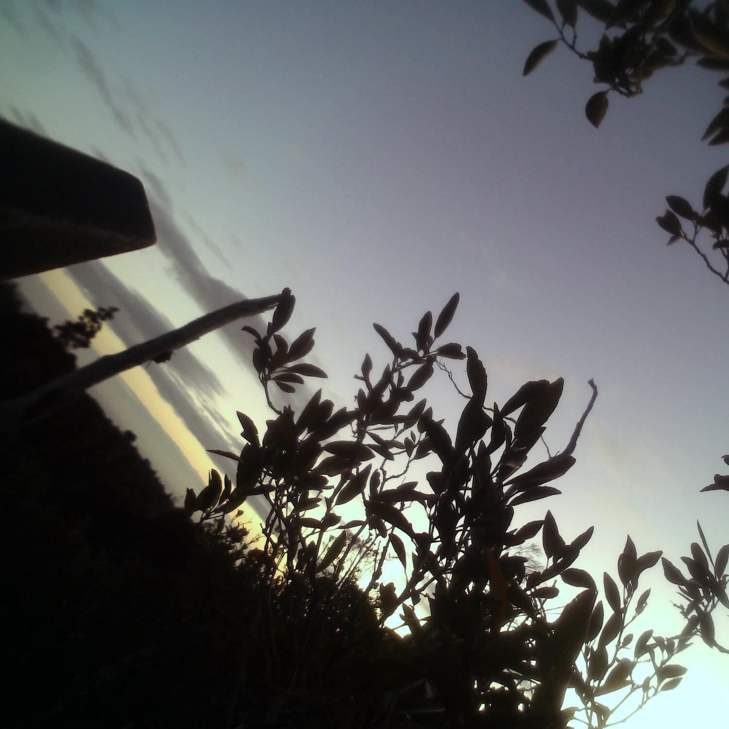 A photo captured from the webcam at the time the audio was recorded