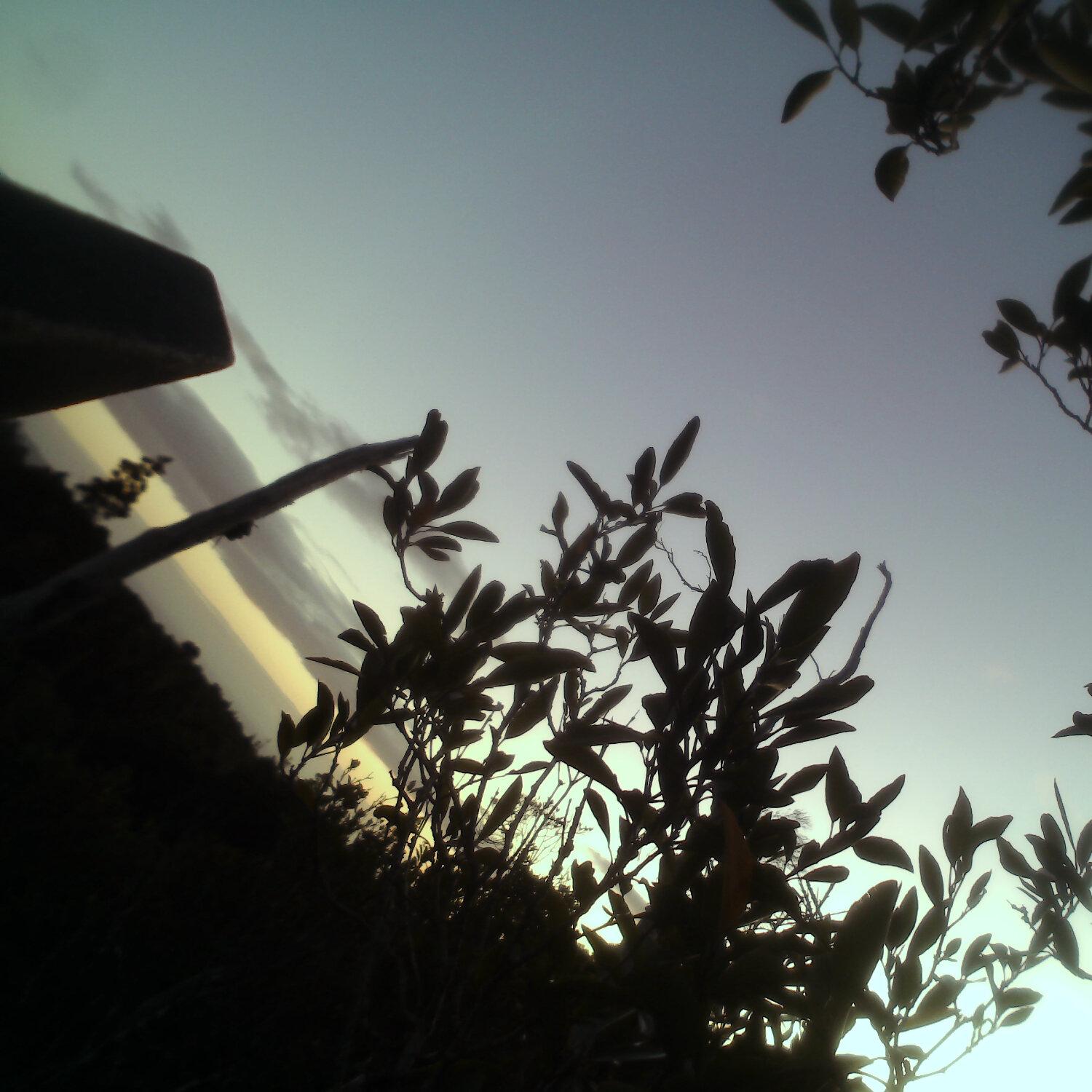 A photo captured from the webcam at the time the audio was recorded