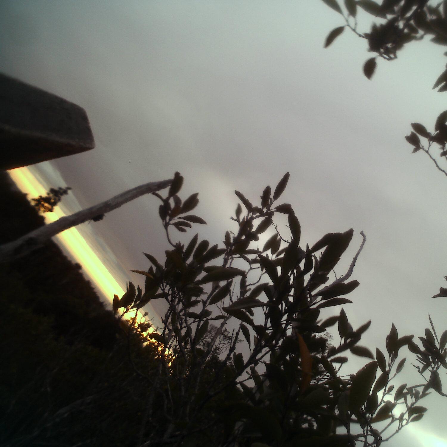 A photo captured from the webcam at the time the audio was recorded