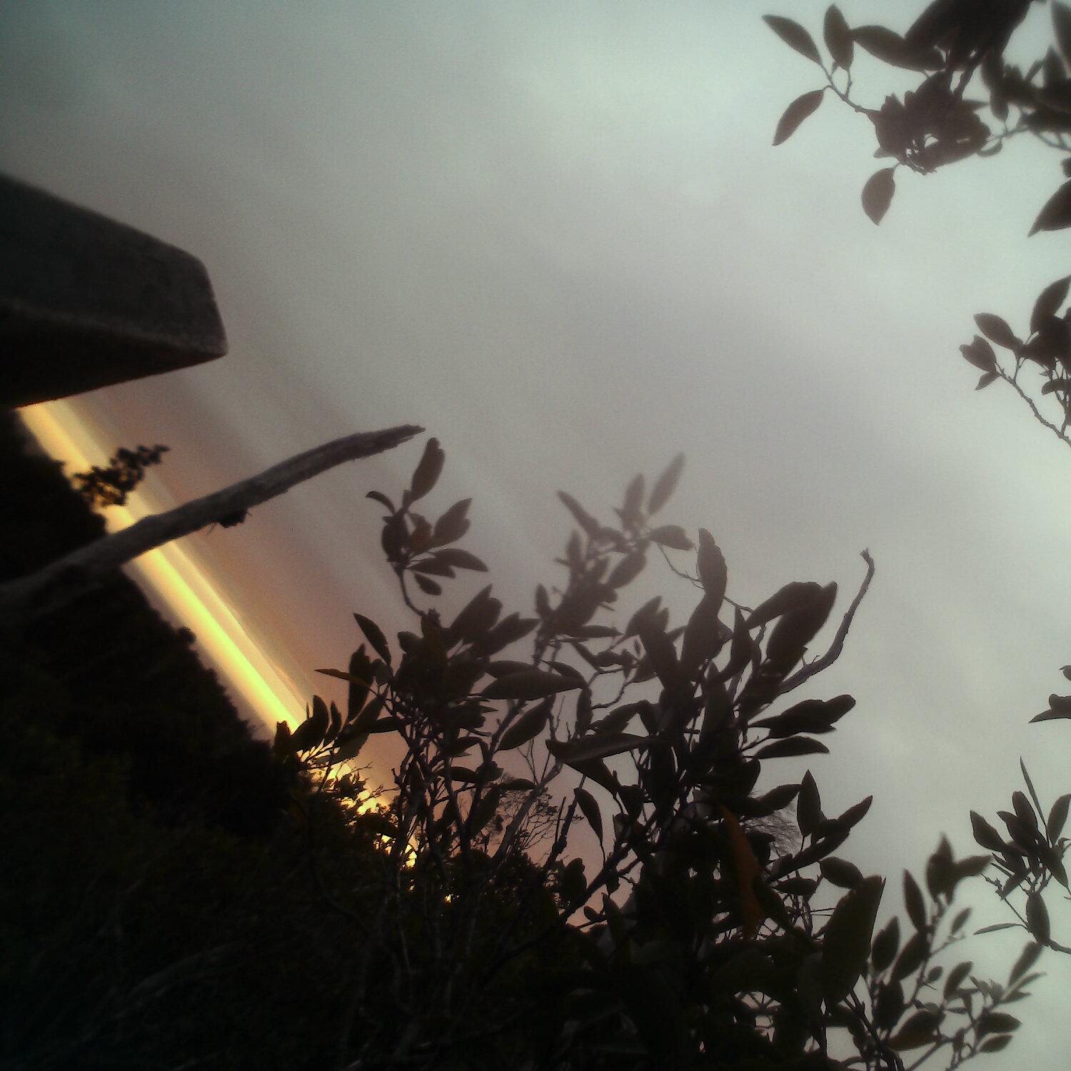 A photo captured from the webcam at the time the audio was recorded