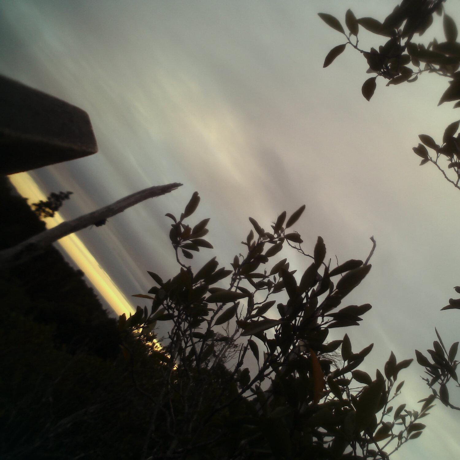 A photo captured from the webcam at the time the audio was recorded