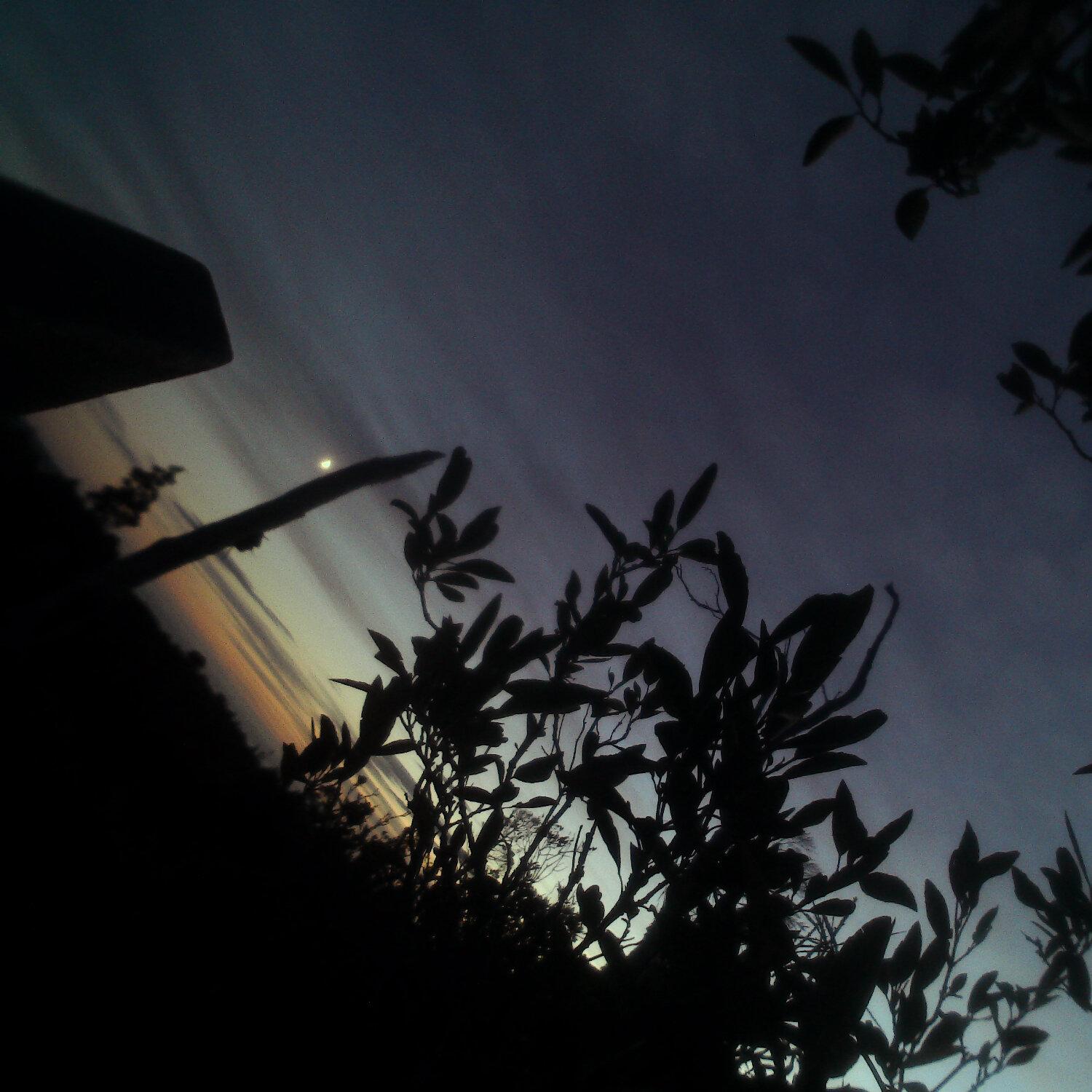 A photo captured from the webcam at the time the audio was recorded