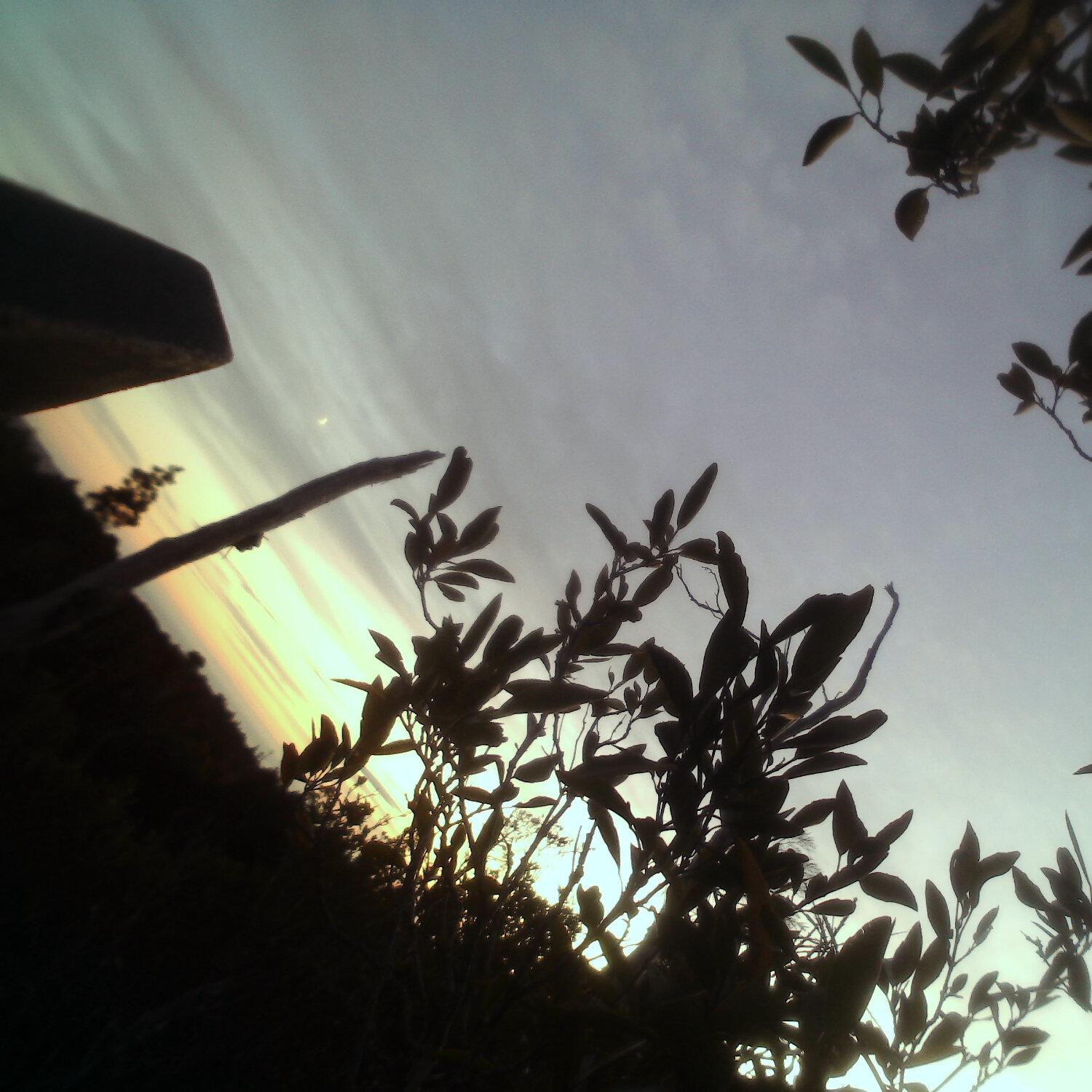 A photo captured from the webcam at the time the audio was recorded