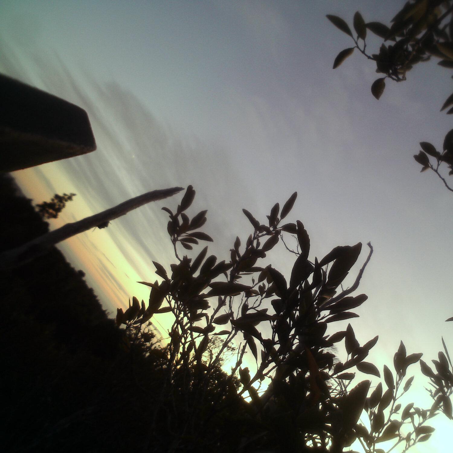 A photo captured from the webcam at the time the audio was recorded