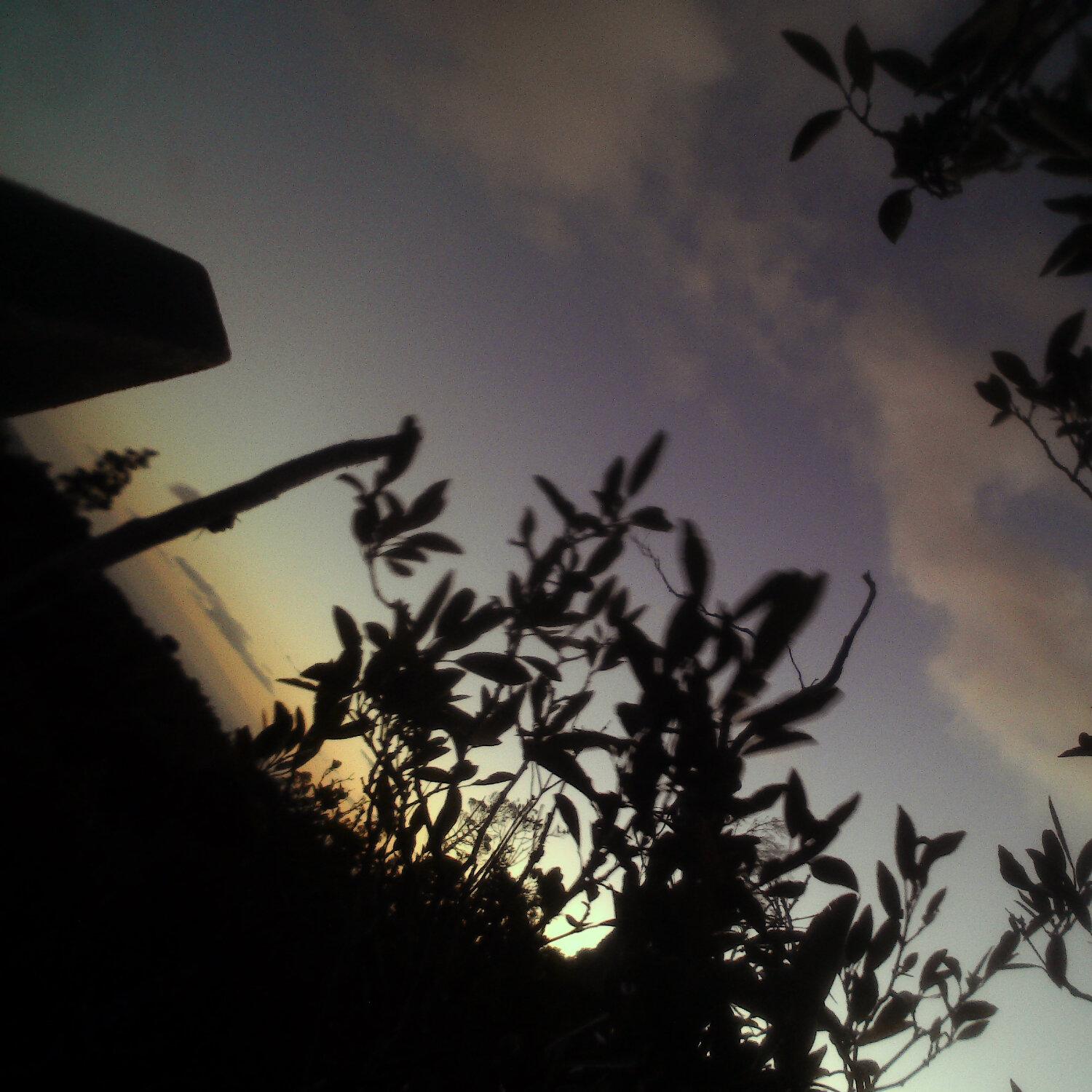 A photo captured from the webcam at the time the audio was recorded