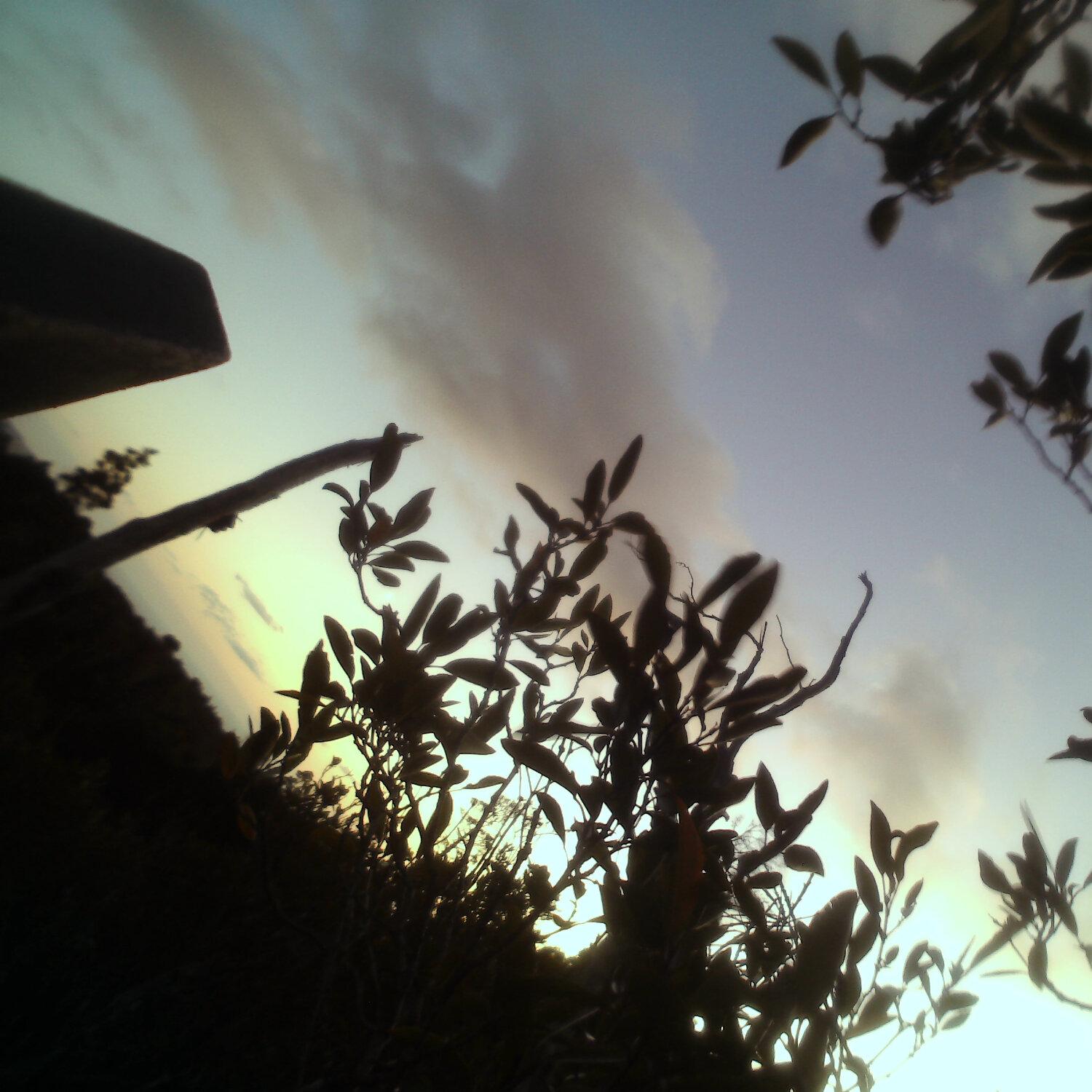 A photo captured from the webcam at the time the audio was recorded