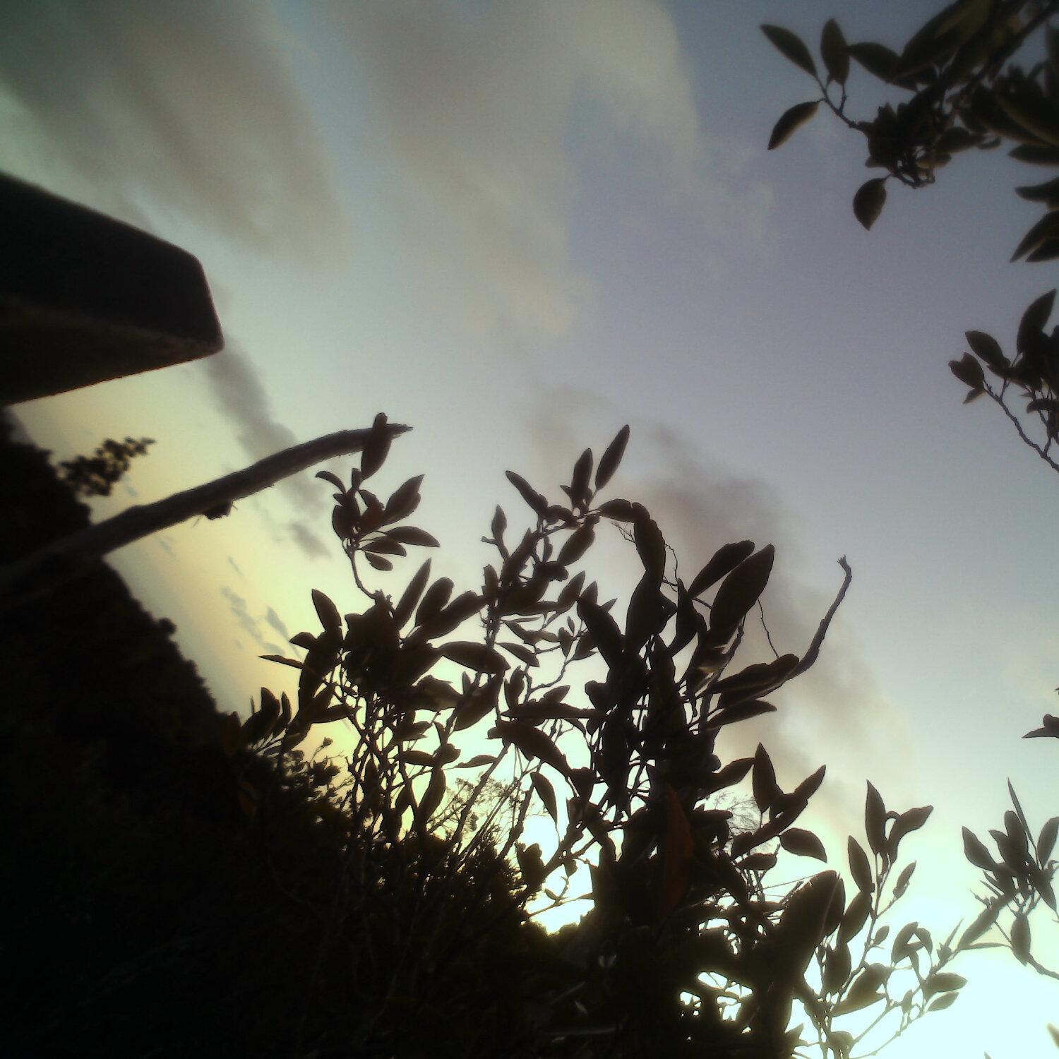 A photo captured from the webcam at the time the audio was recorded