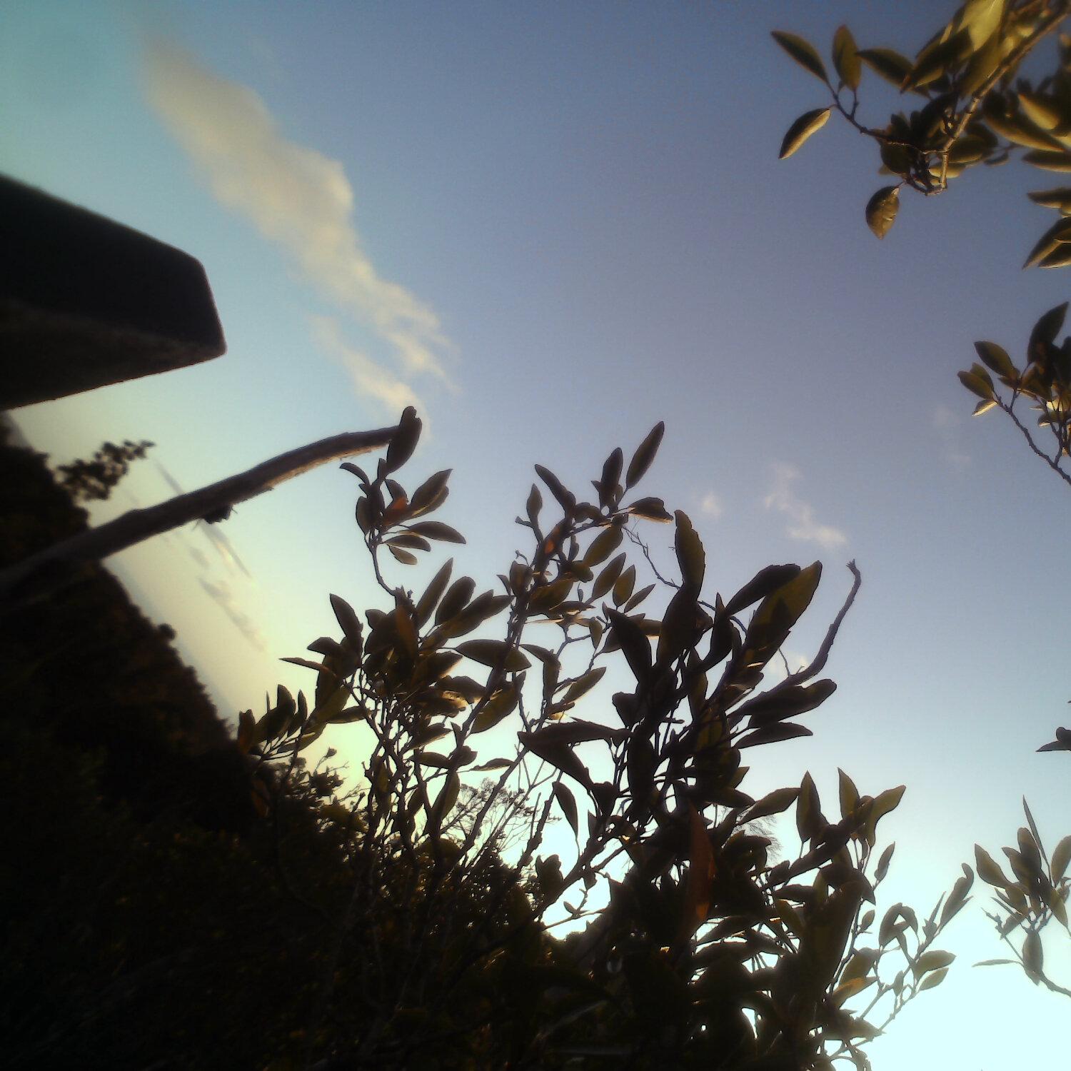 A photo captured from the webcam at the time the audio was recorded