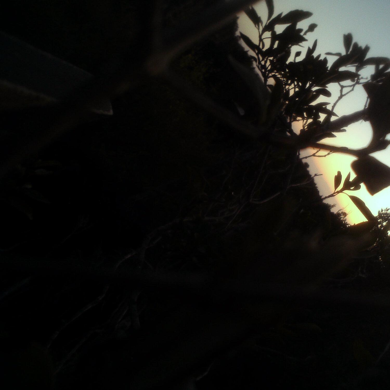 A photo captured from the webcam at the time the audio was recorded
