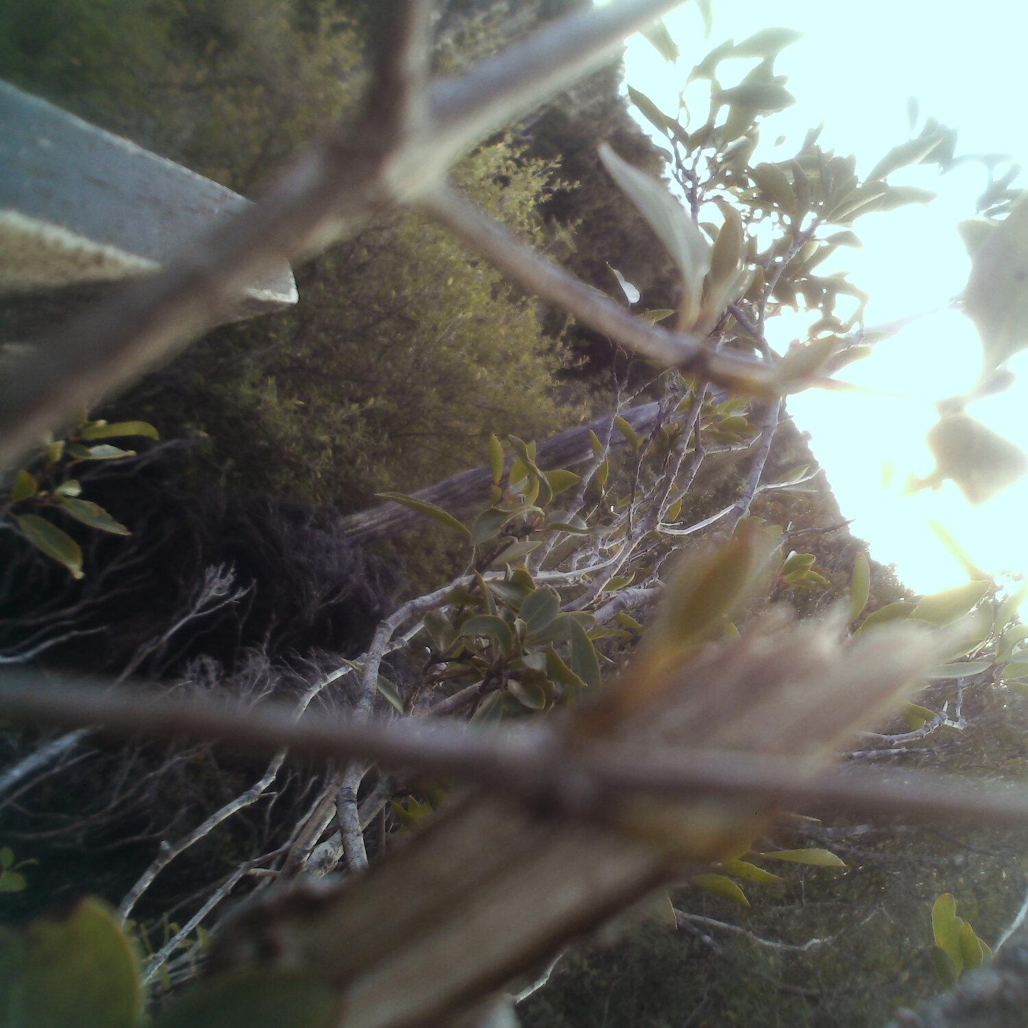 A photo captured from the webcam at the time the audio was recorded