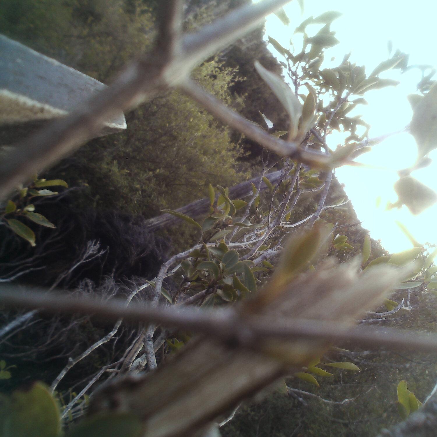 A photo captured from the webcam at the time the audio was recorded
