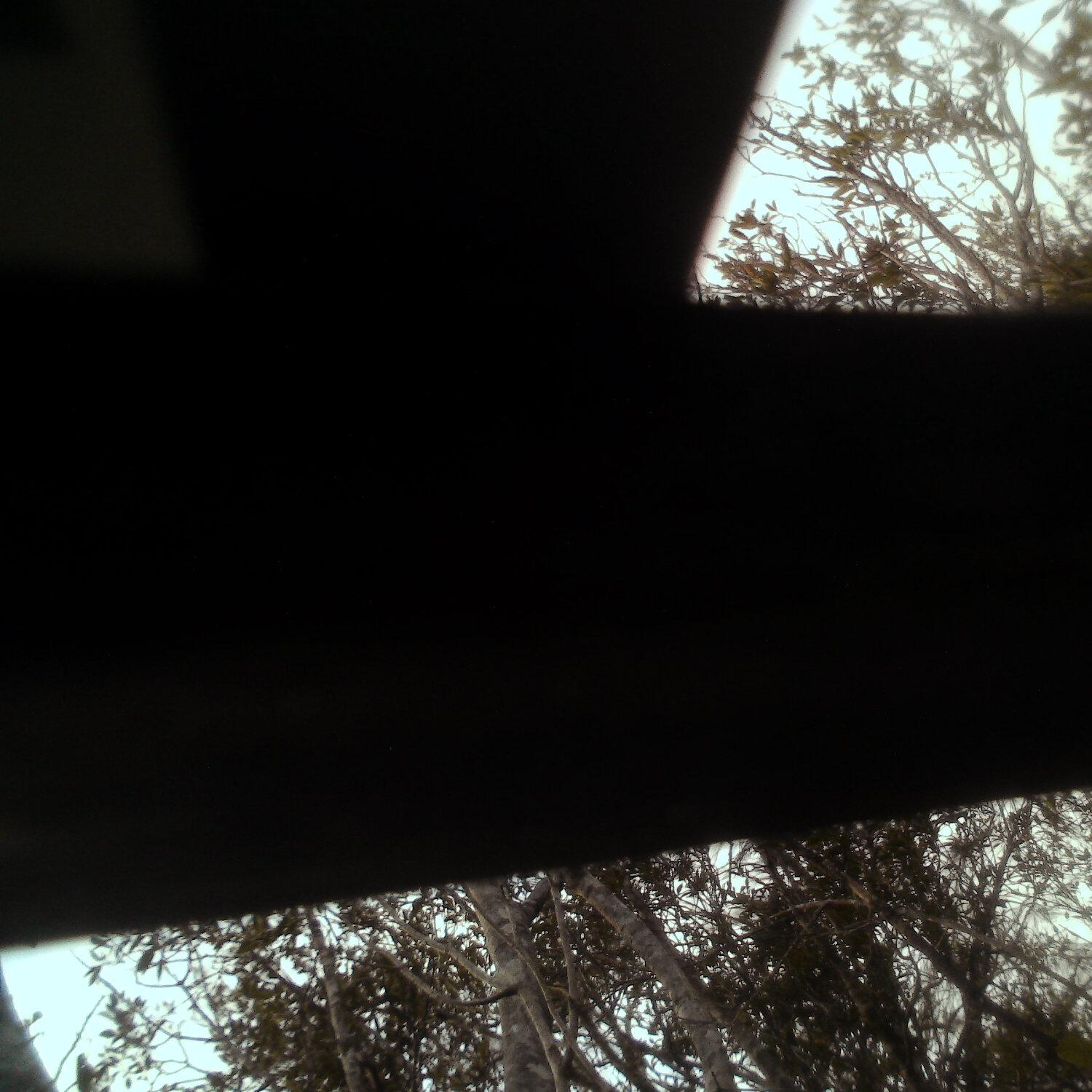 A photo captured from the webcam at the time the audio was recorded